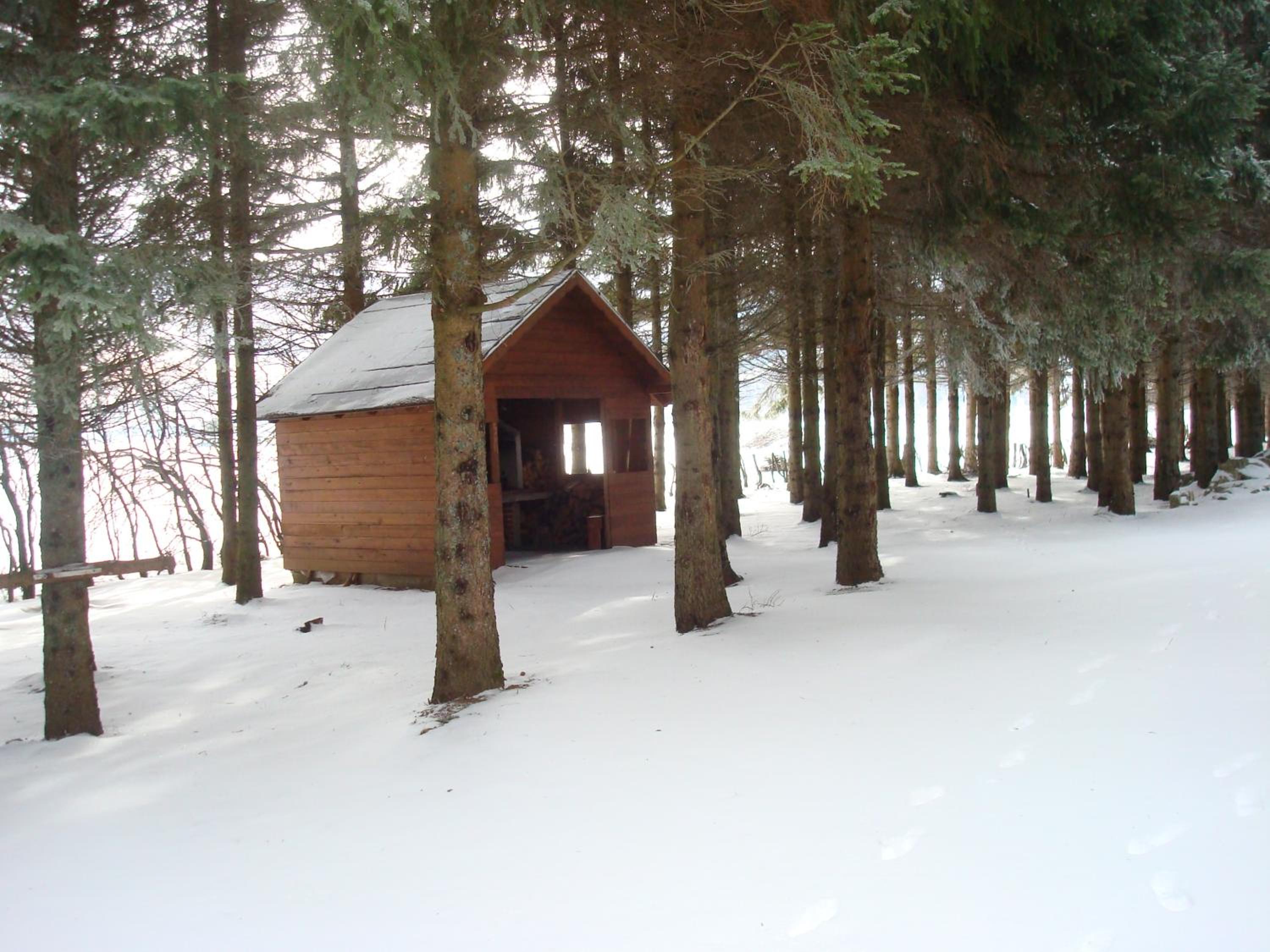 Photo 48