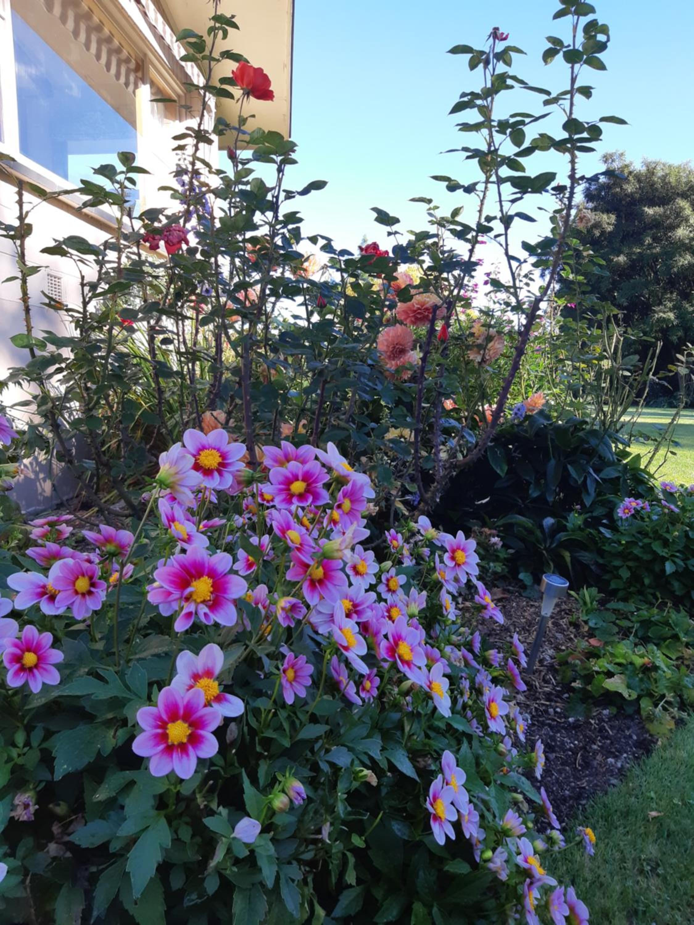Photo 7