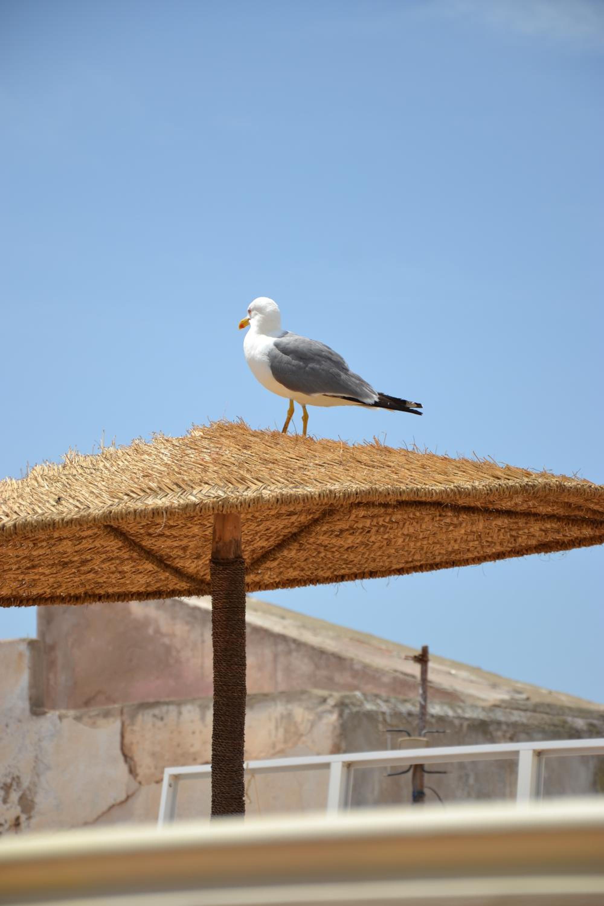 other