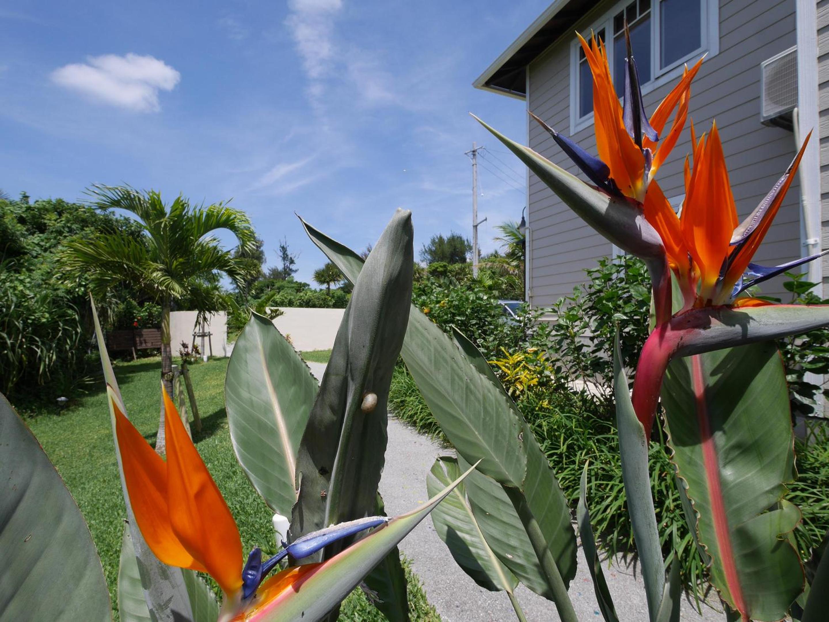 Private Vacation Villa Kohola