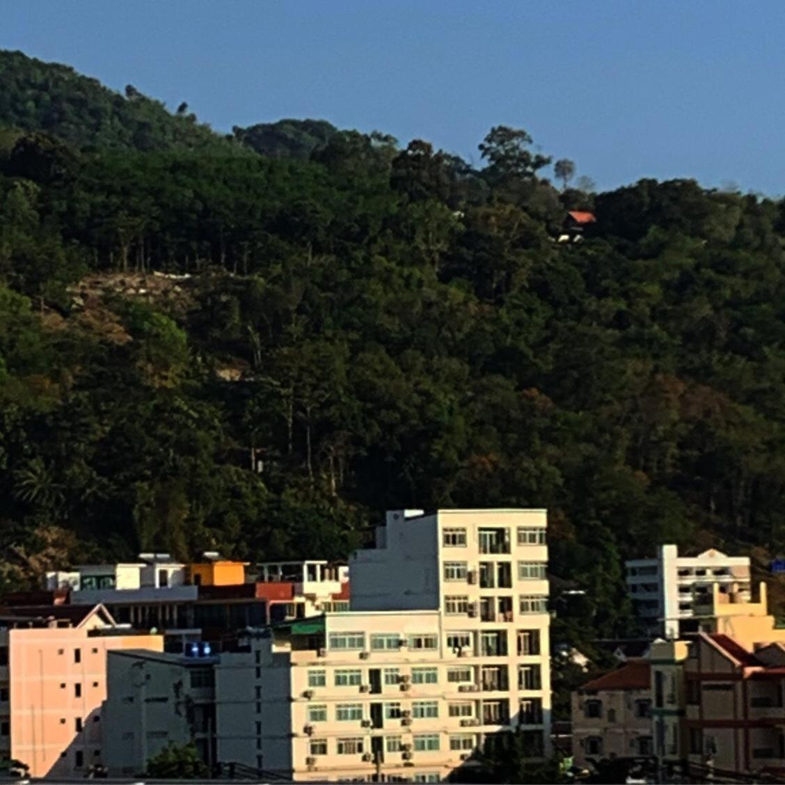 The C Park
