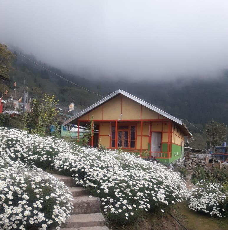 Niru Homestay view 2