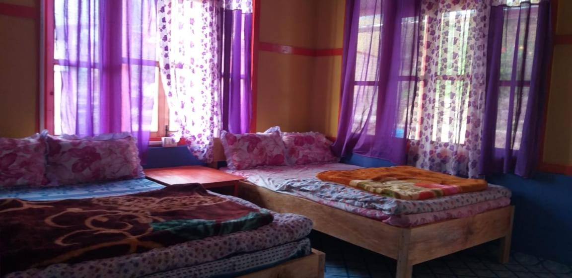 Niru Homestay view 4