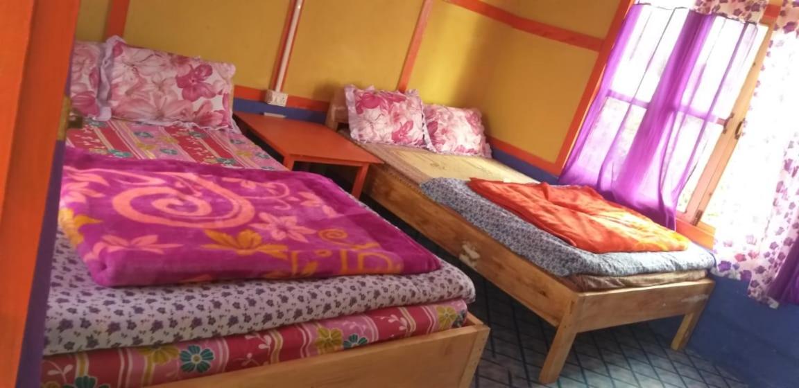 Niru Homestay view 5