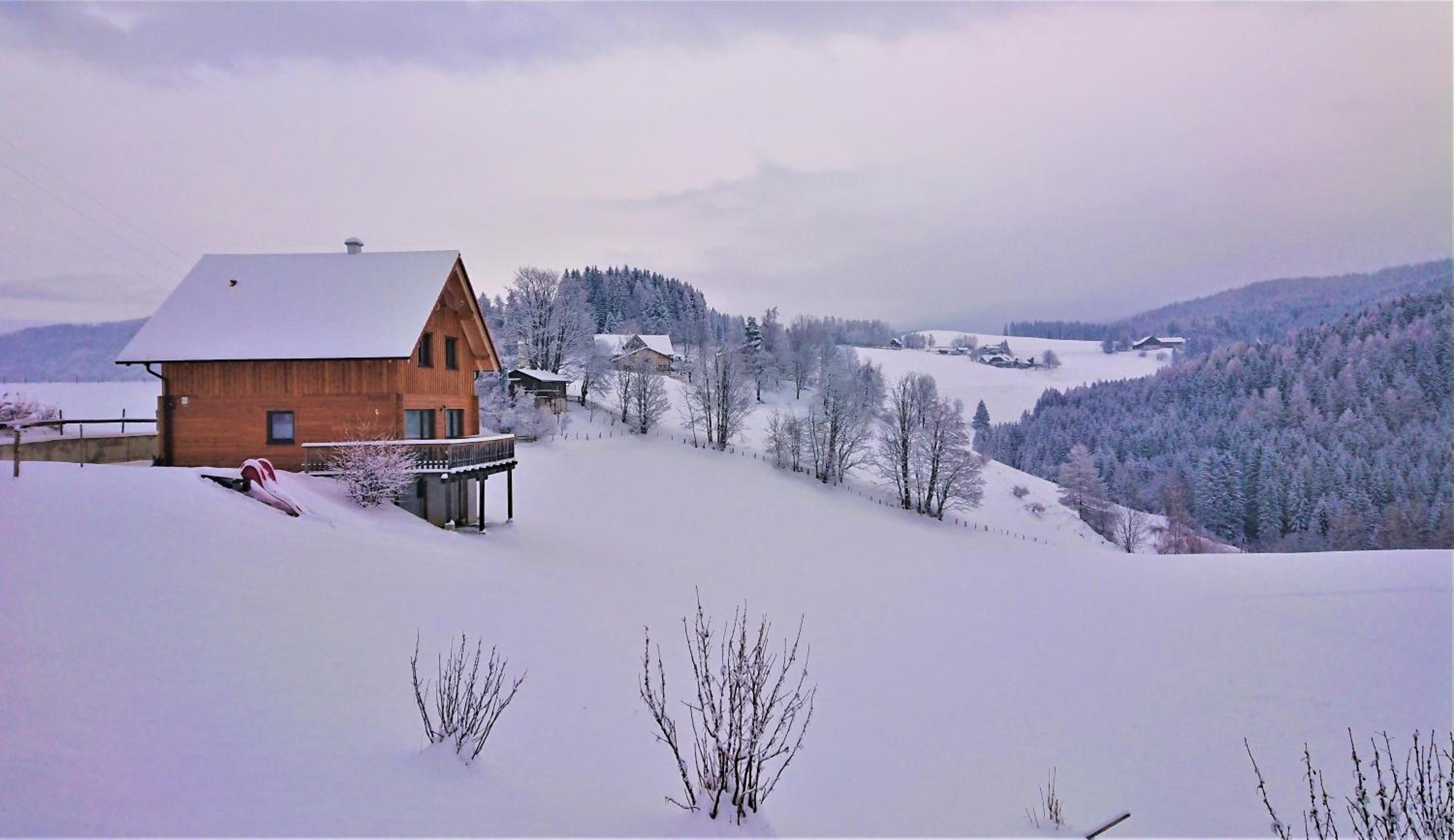 Ferienhaus Lärchenhütte