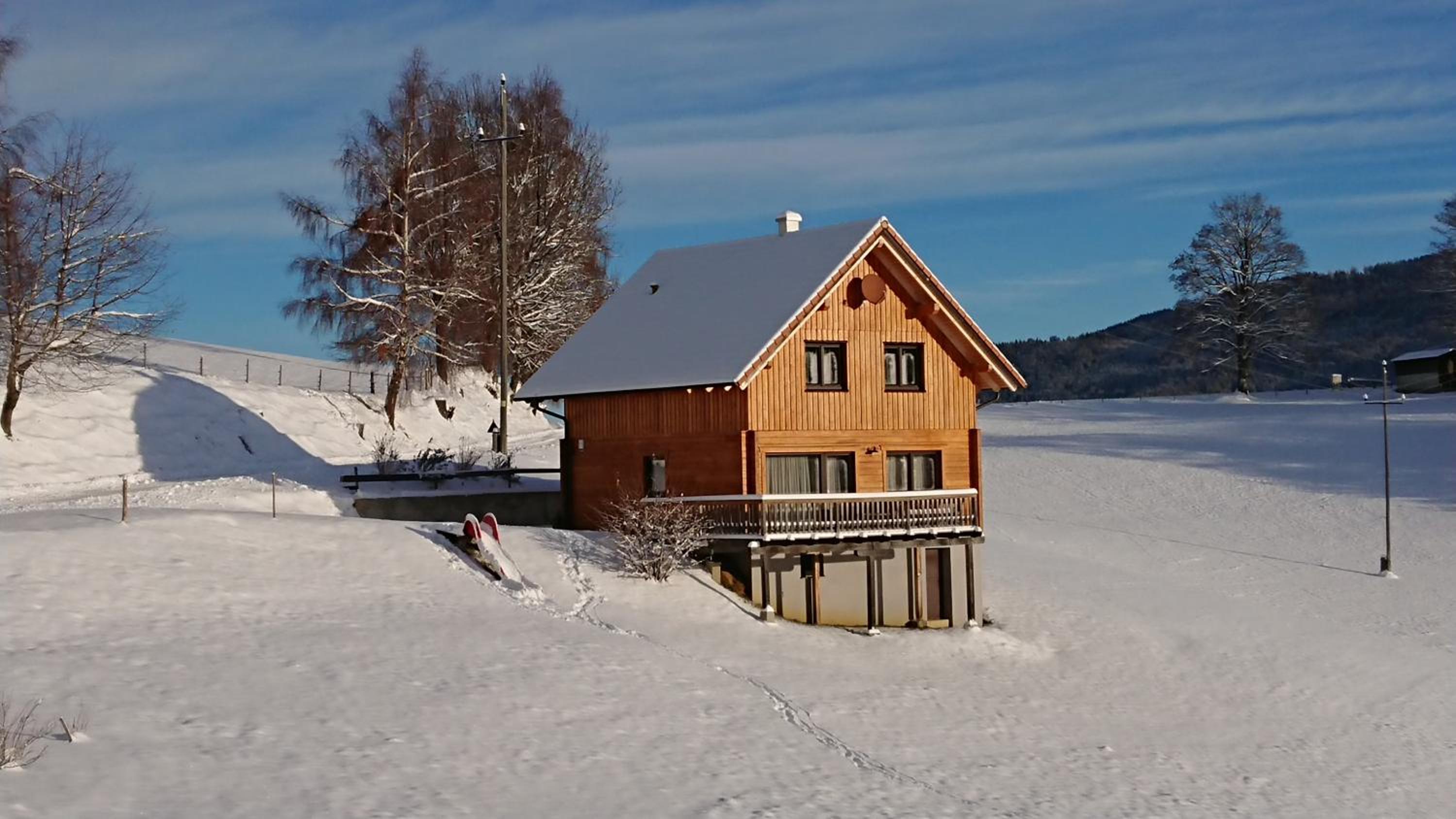 Ferienhaus Lärchenhütte