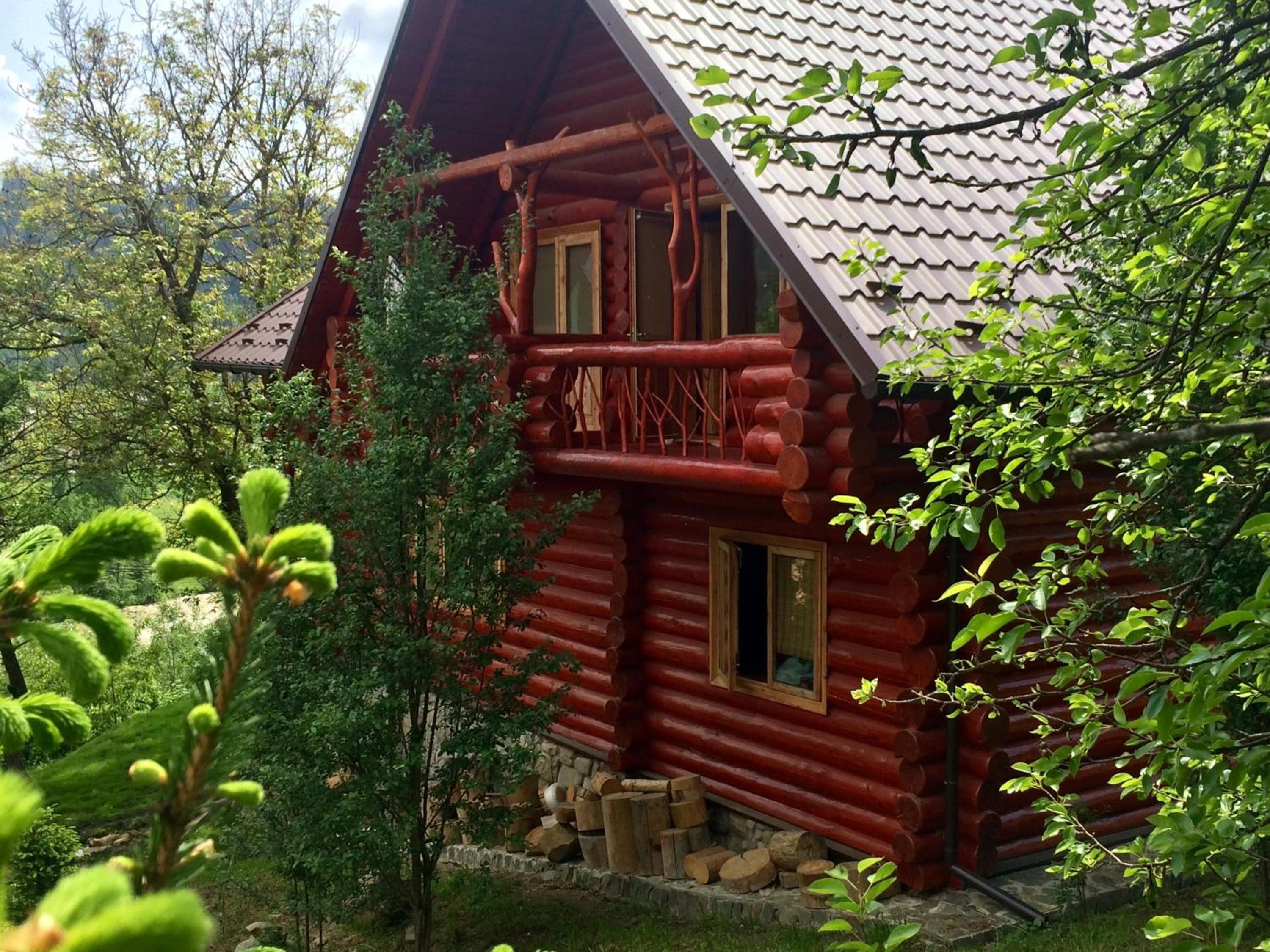 Photo 8