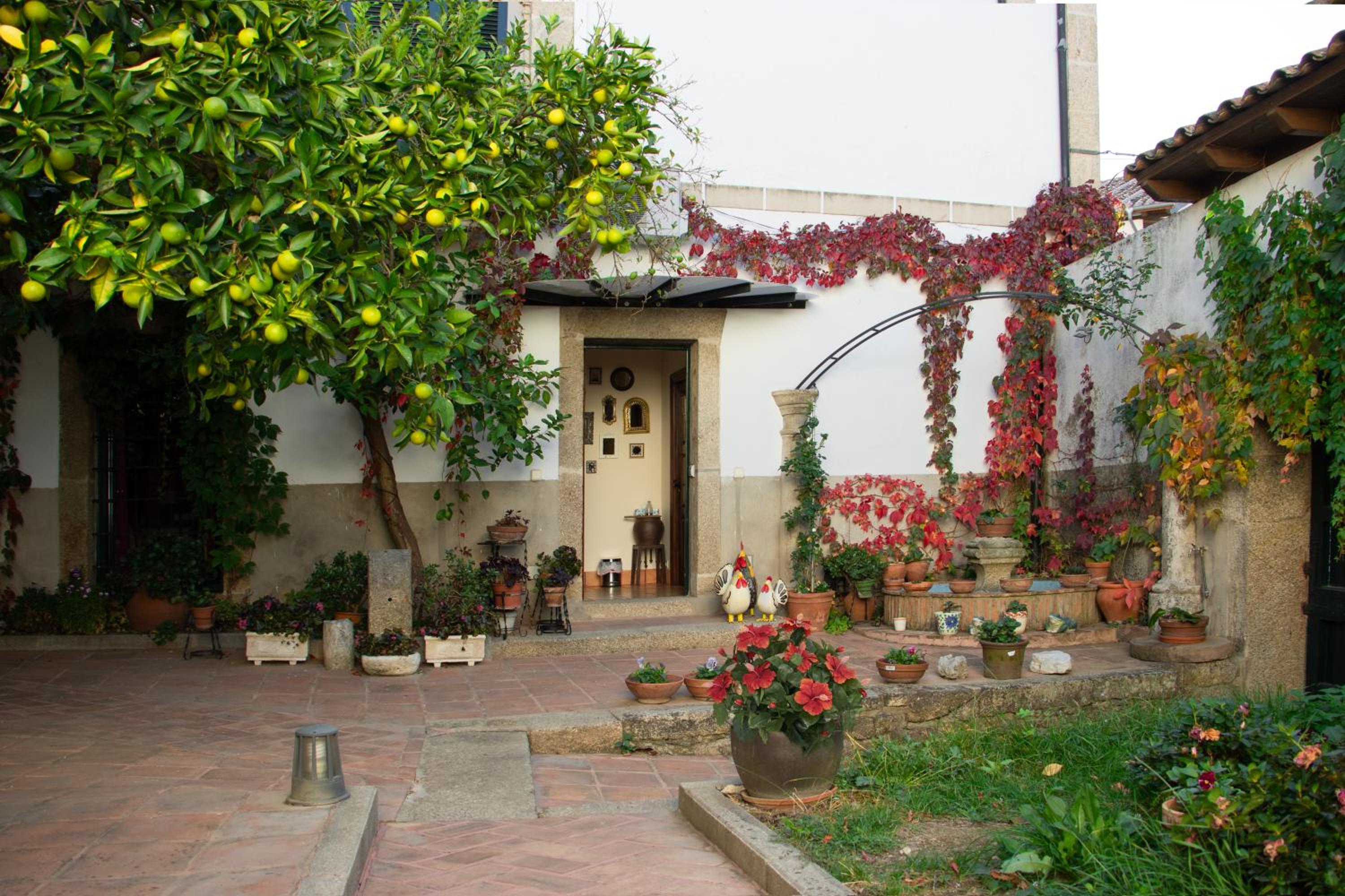 Photo 40