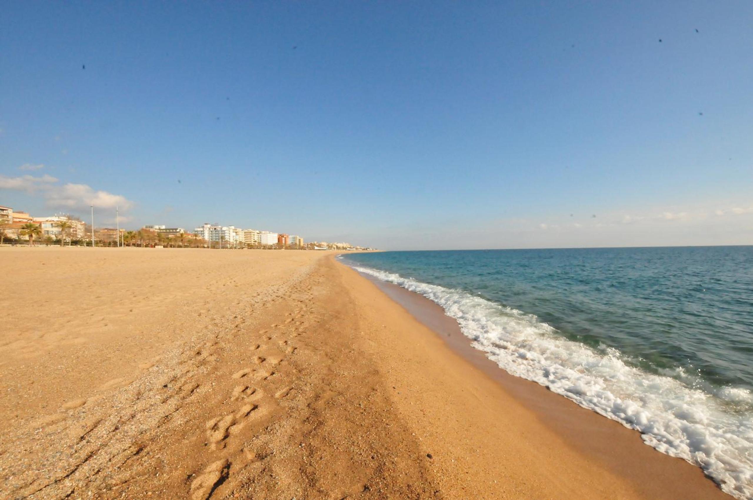 Photo 39