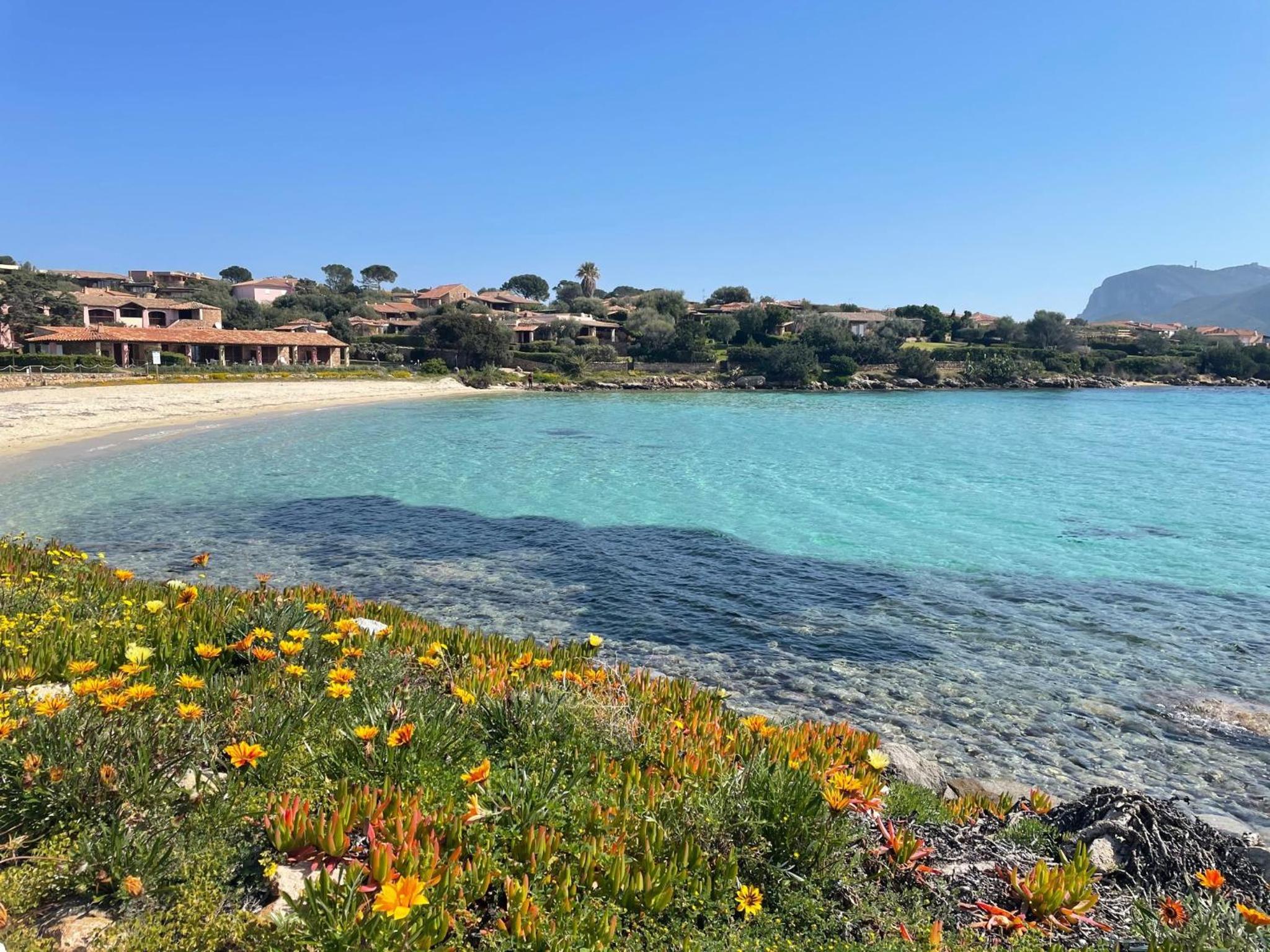 Le case del golfo - Your House in Sardinia view 3