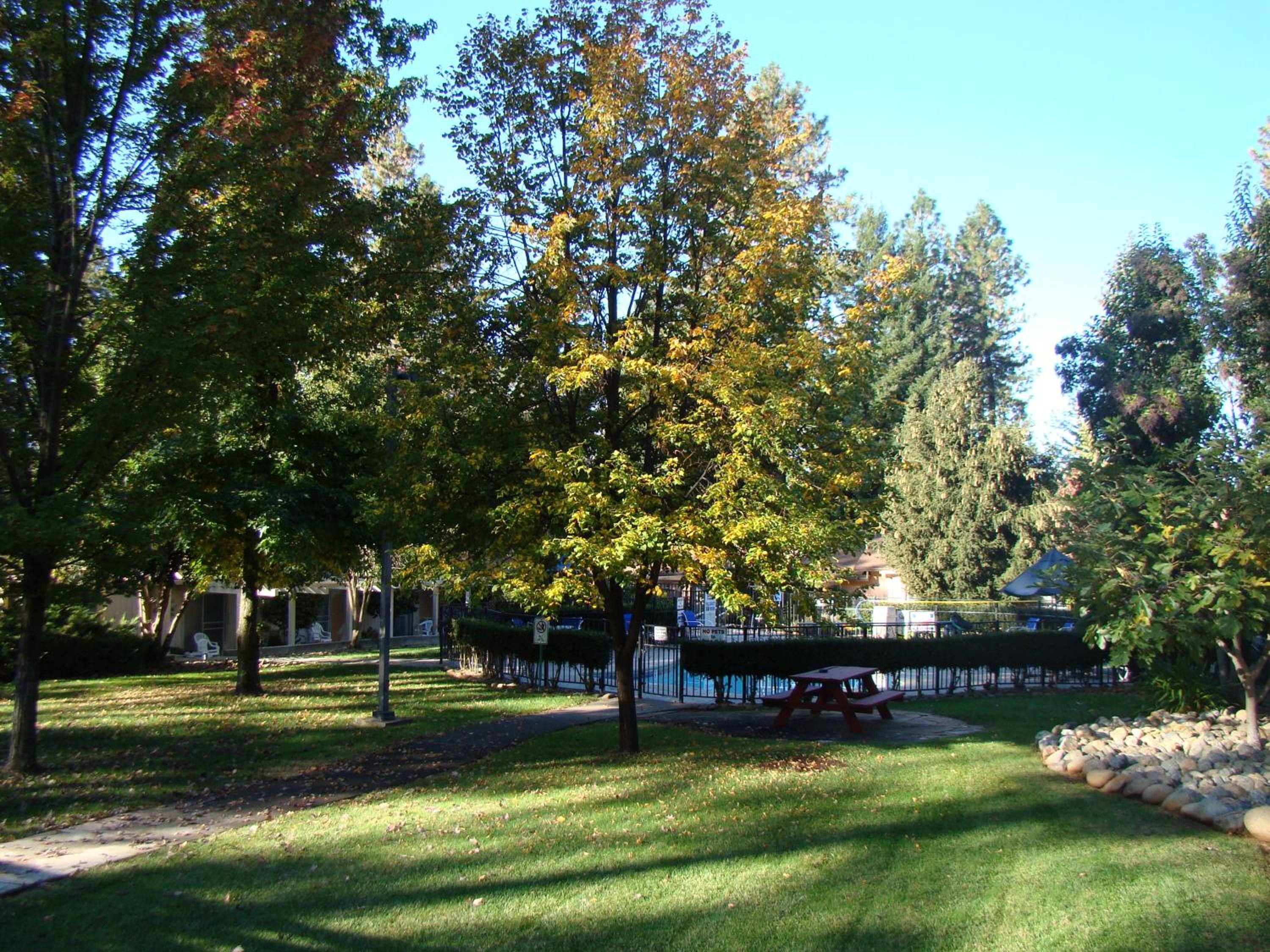 Ponderosa Gardens Motel