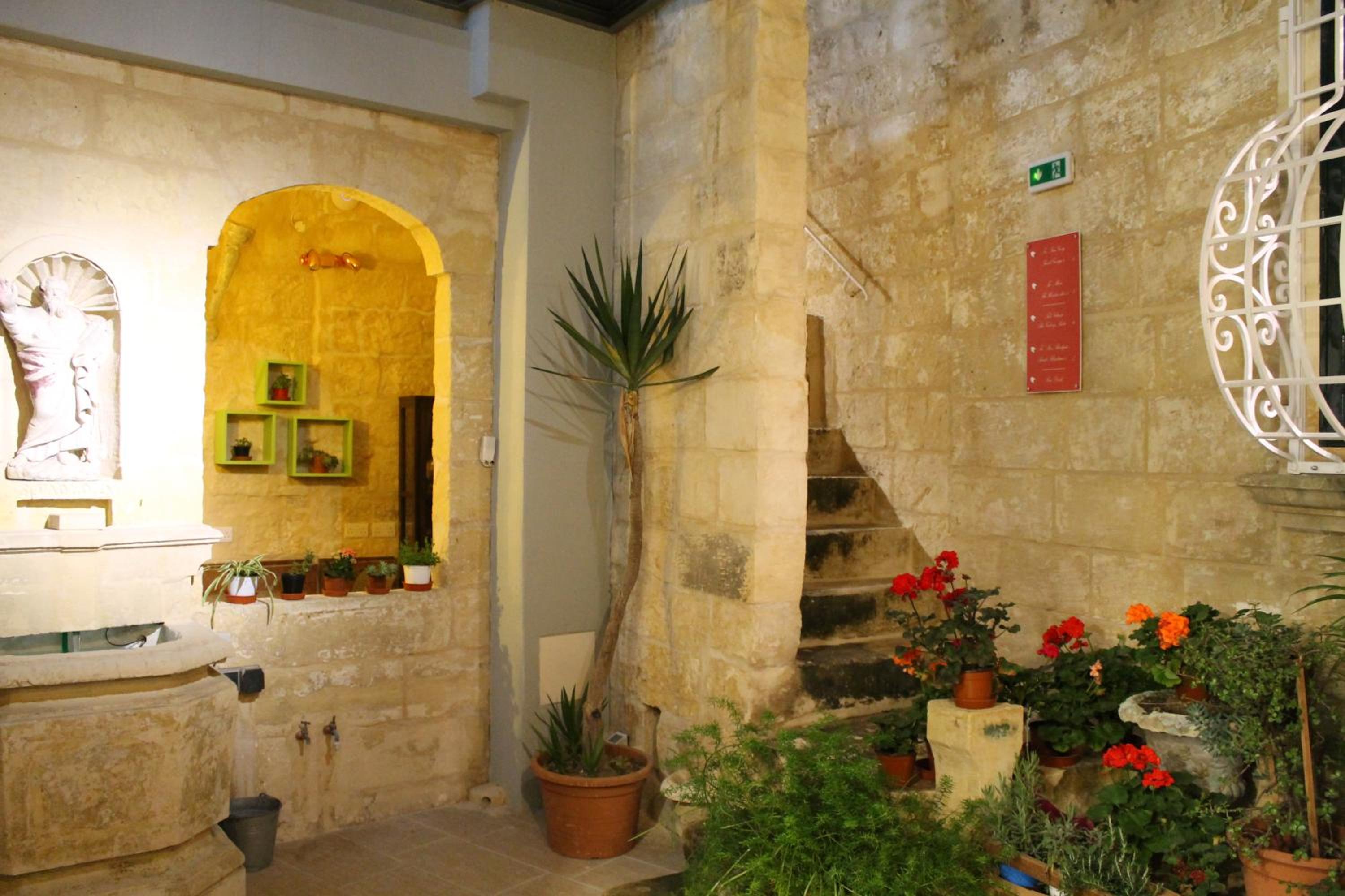 Photo 51