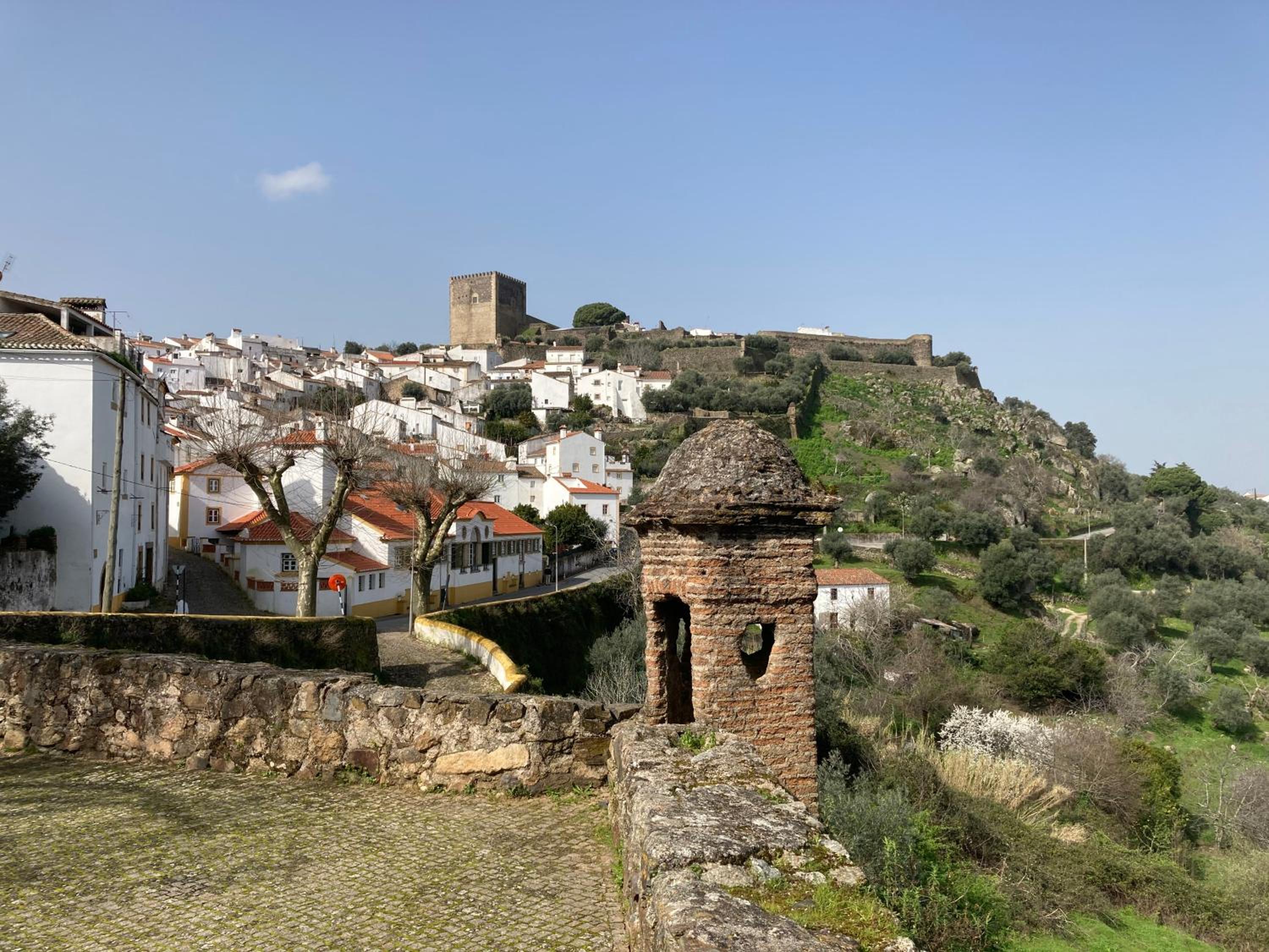 Photo 22