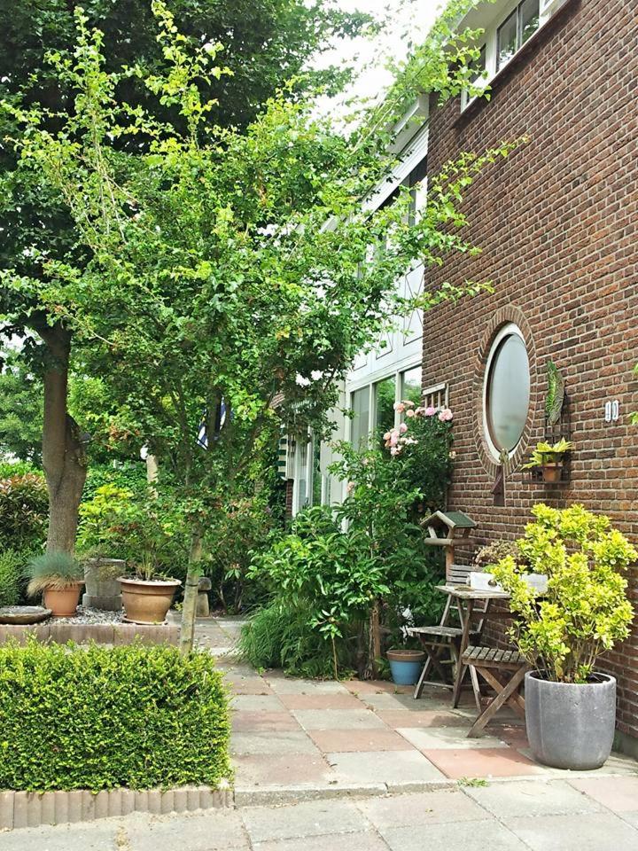 Photo 25