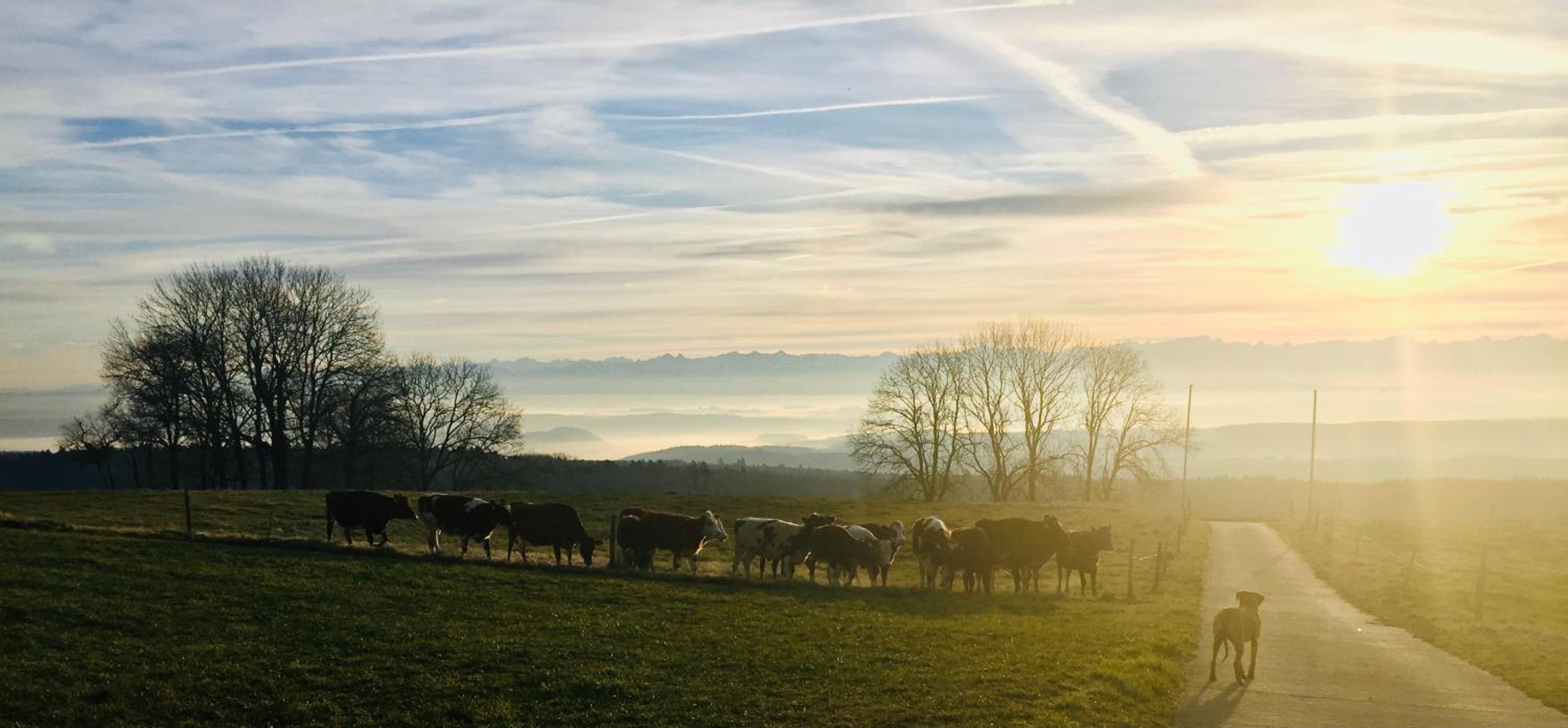 La Ferme de la Praz B&B