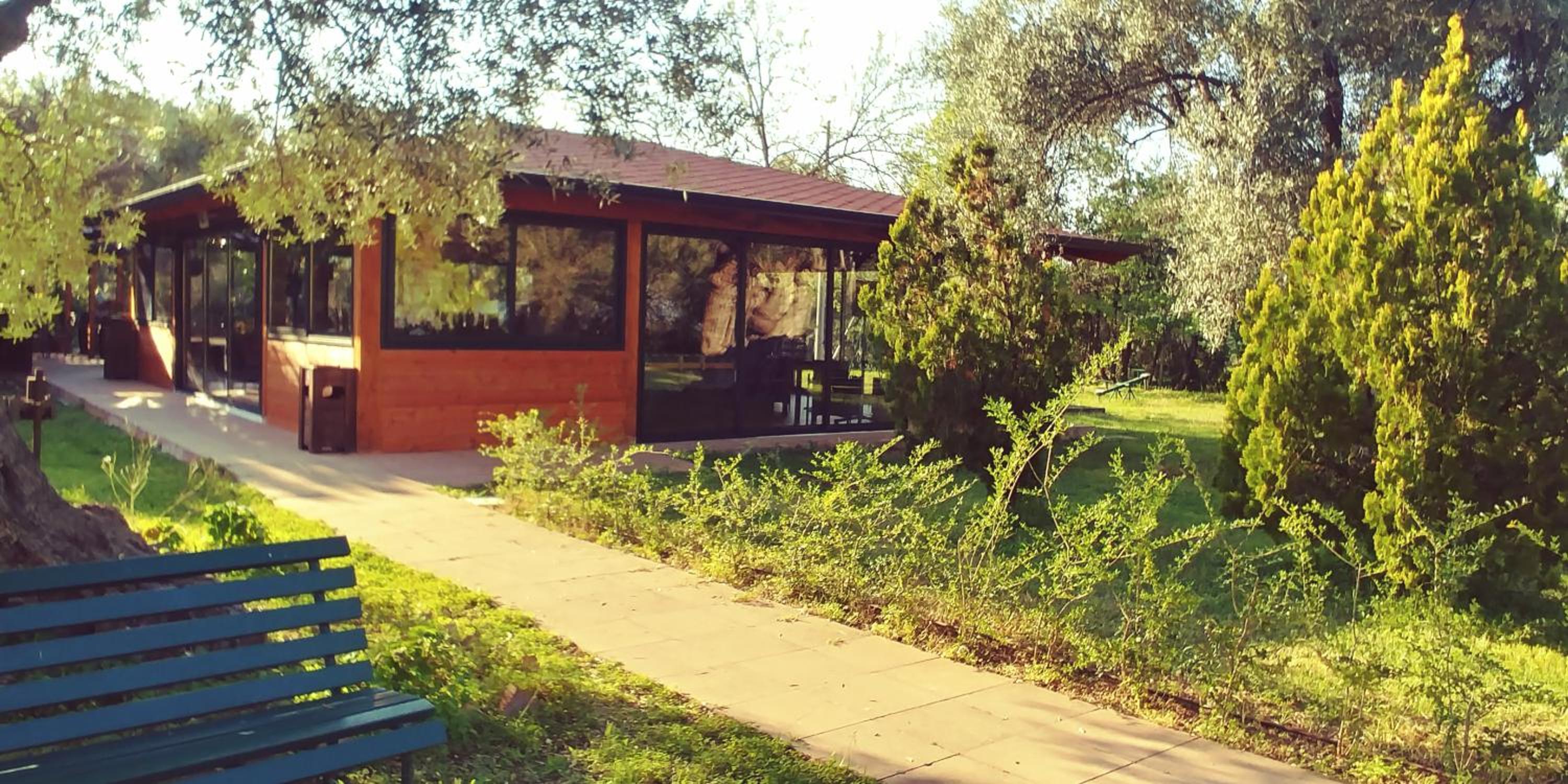 La Piana degli Ulivi