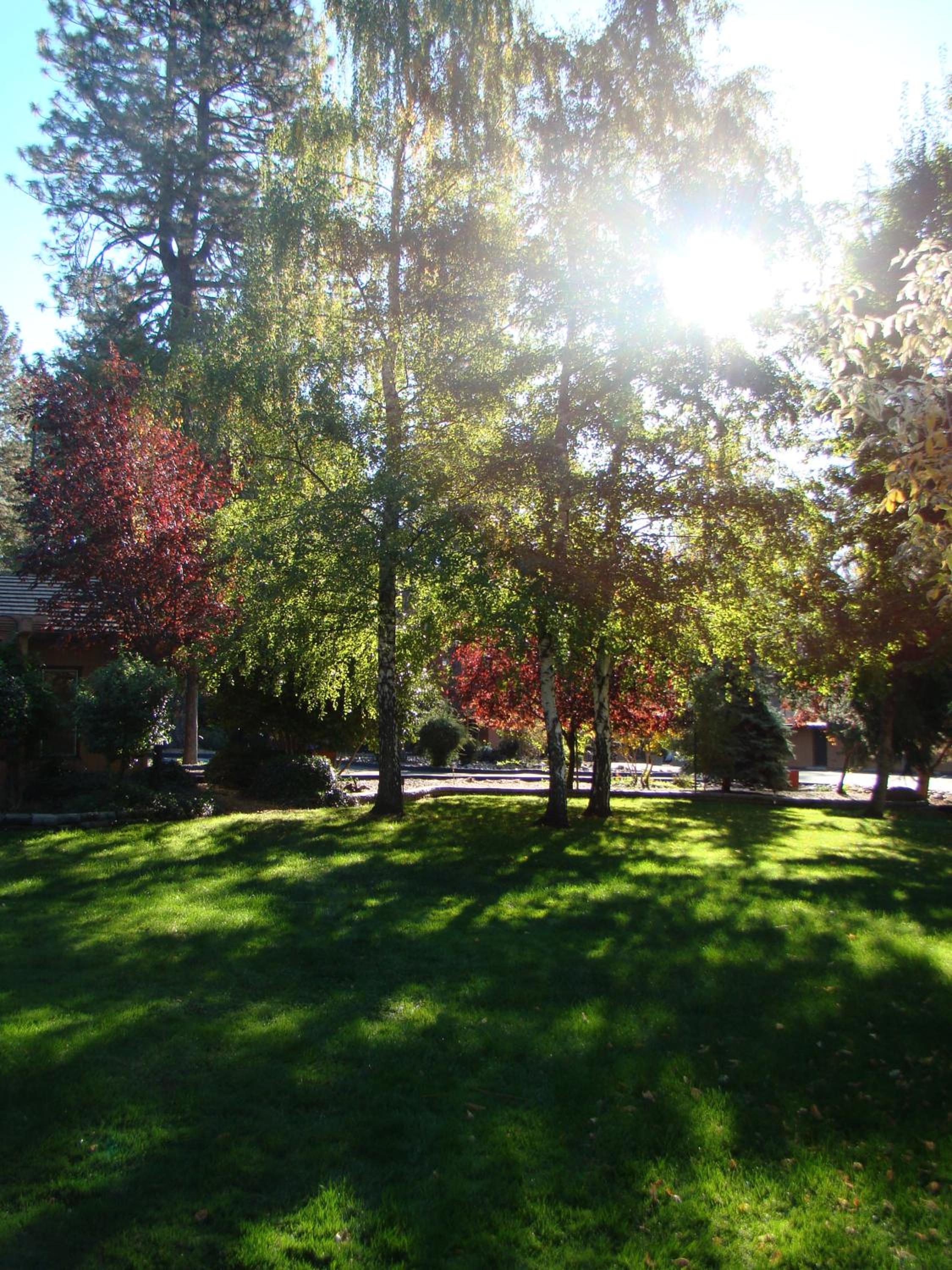 Ponderosa Gardens Motel