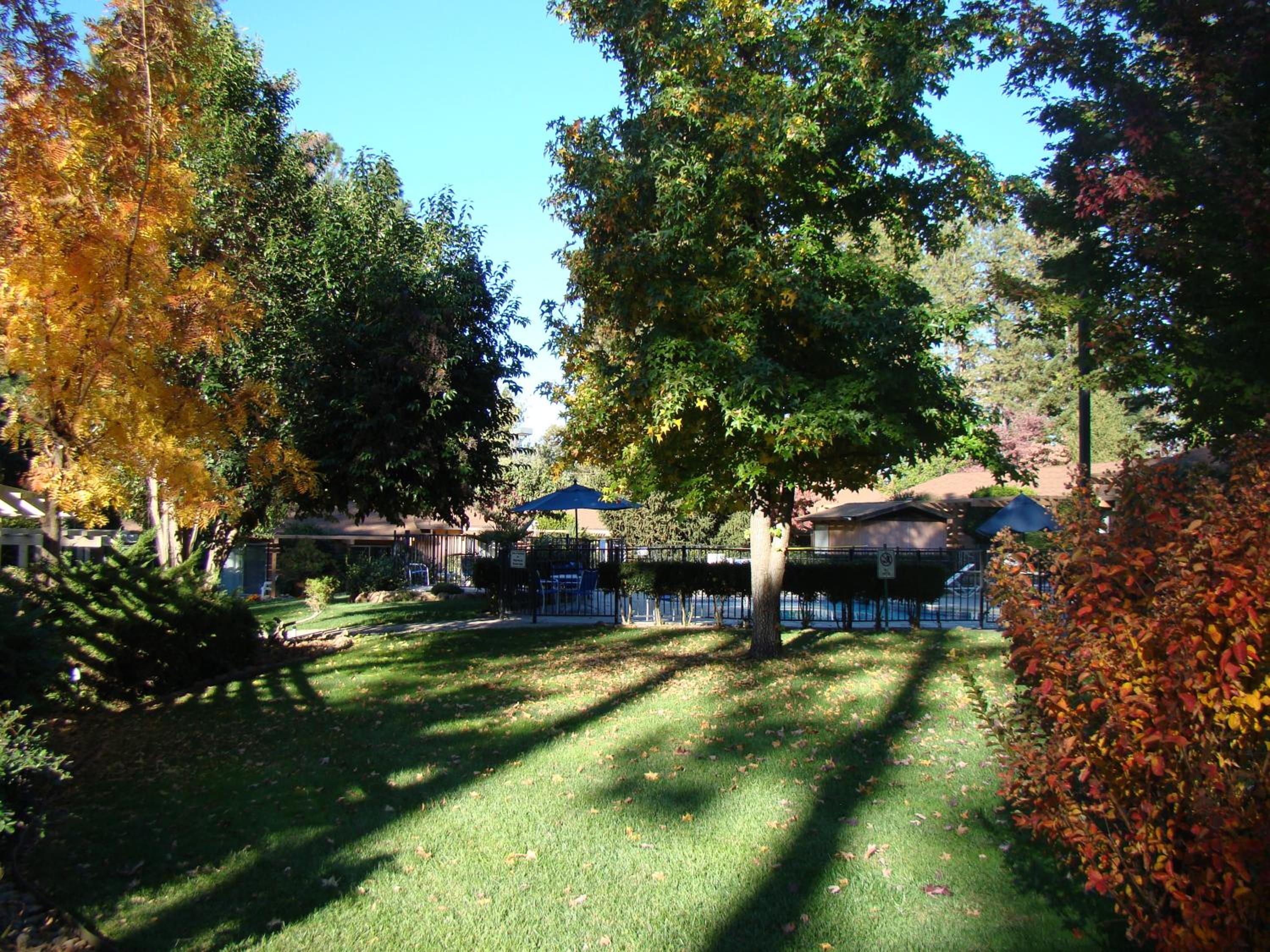 Ponderosa Gardens Motel