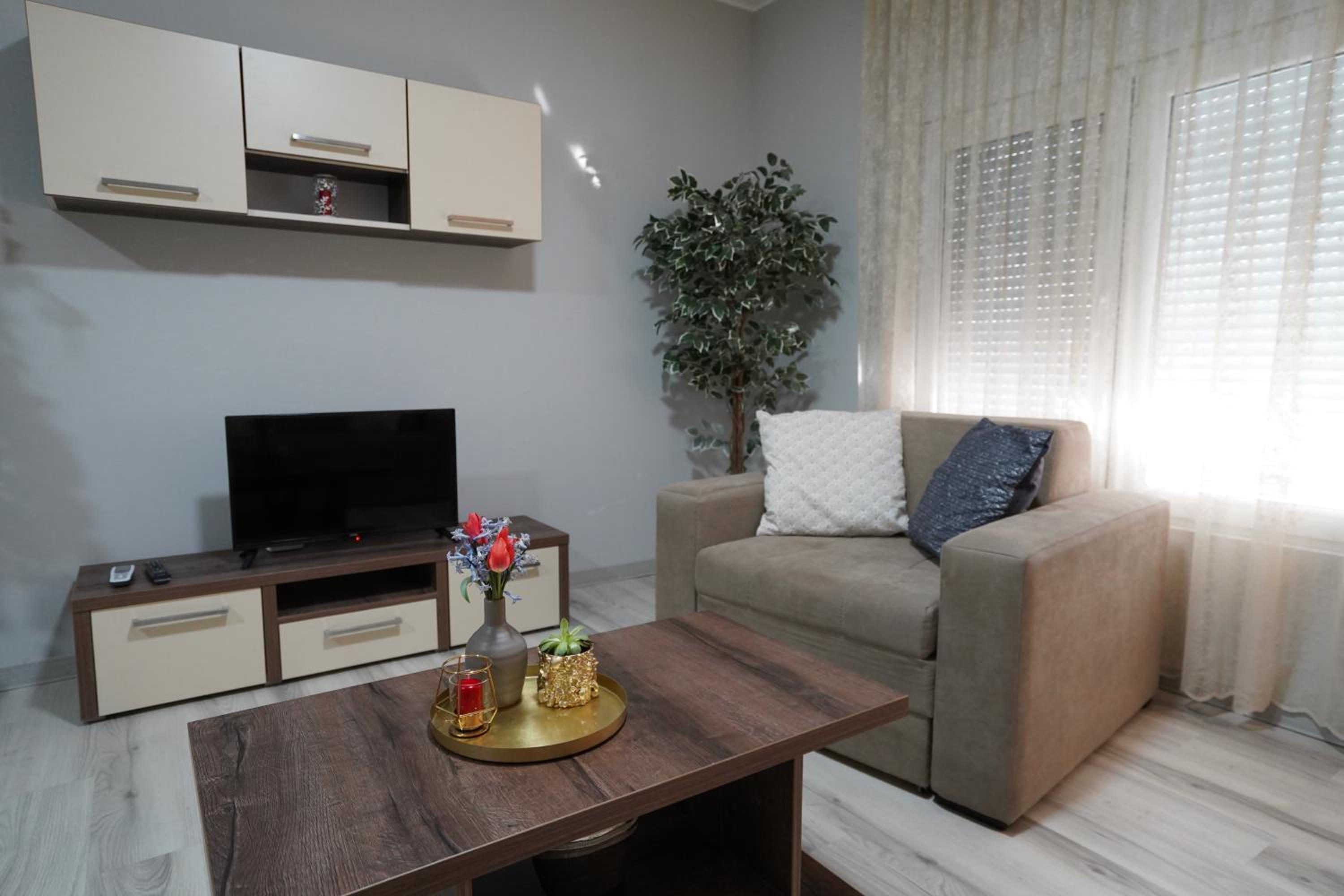 Apartman Nastasijevic view 3