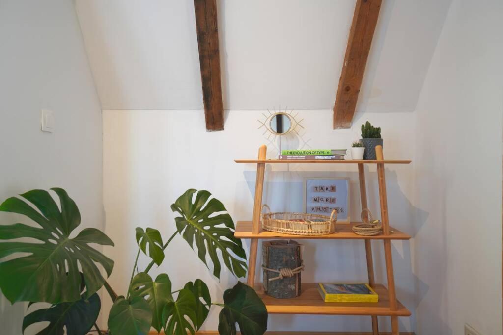 Contemporary Boho Style Loft Sofia Center view 2