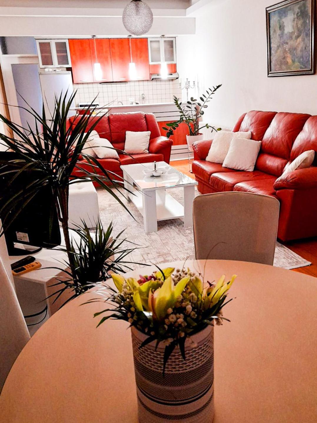 Apartman Djoana - dvosoban apartman u blizini Akva Parka Vrnjačke Terme