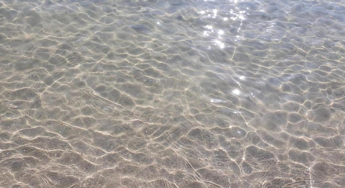 Appartamenti per Vacanze Anchisemare