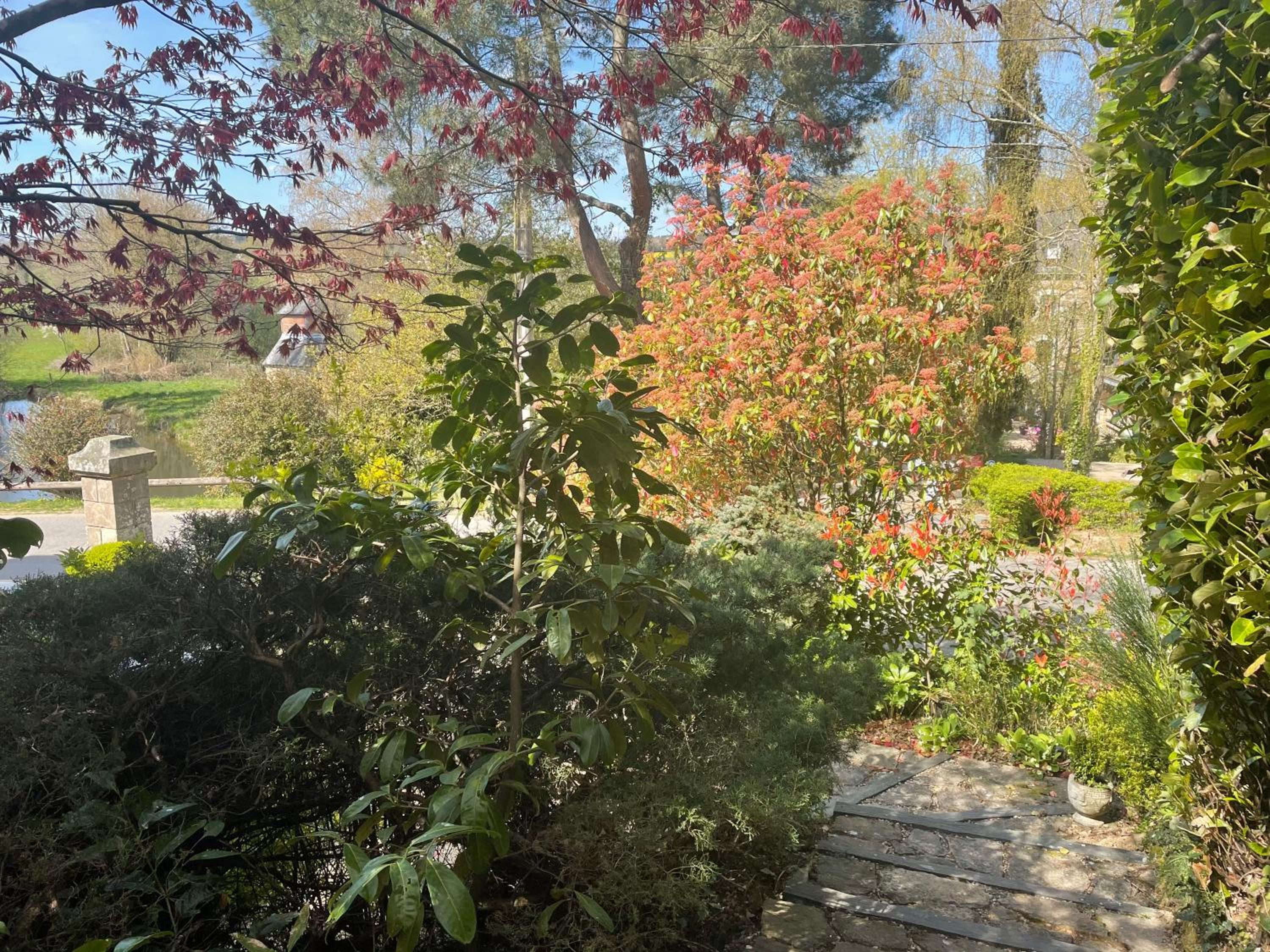 Photo 23