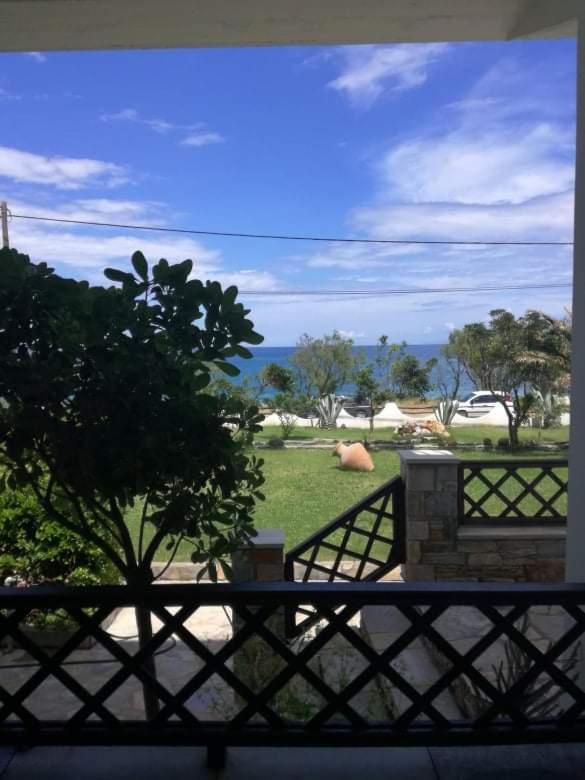 Olga Paltsi Rooms view 5