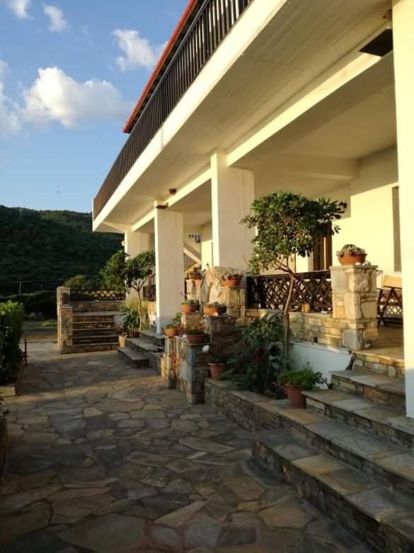 Olga Paltsi Rooms view 4