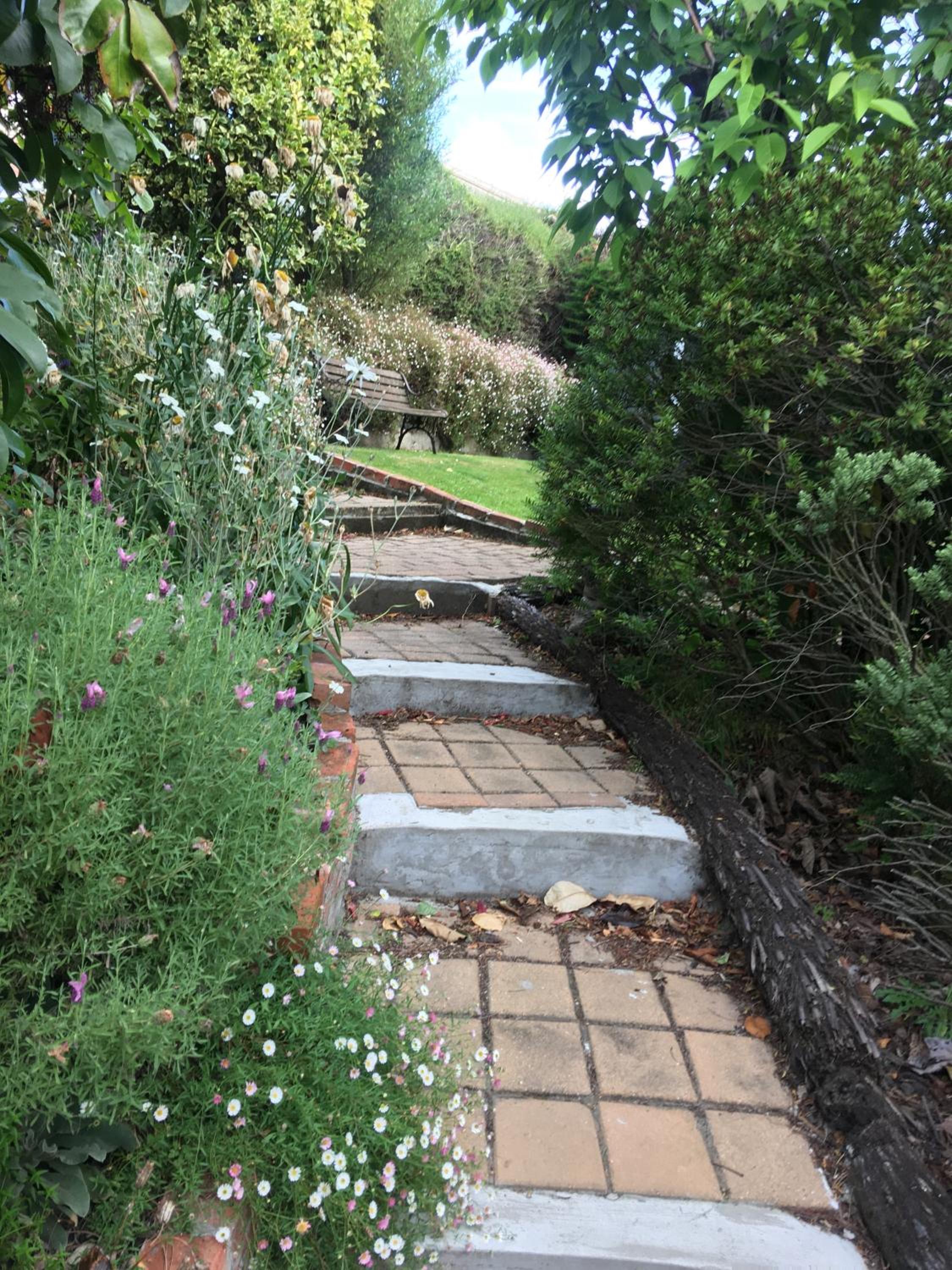 Photo 37