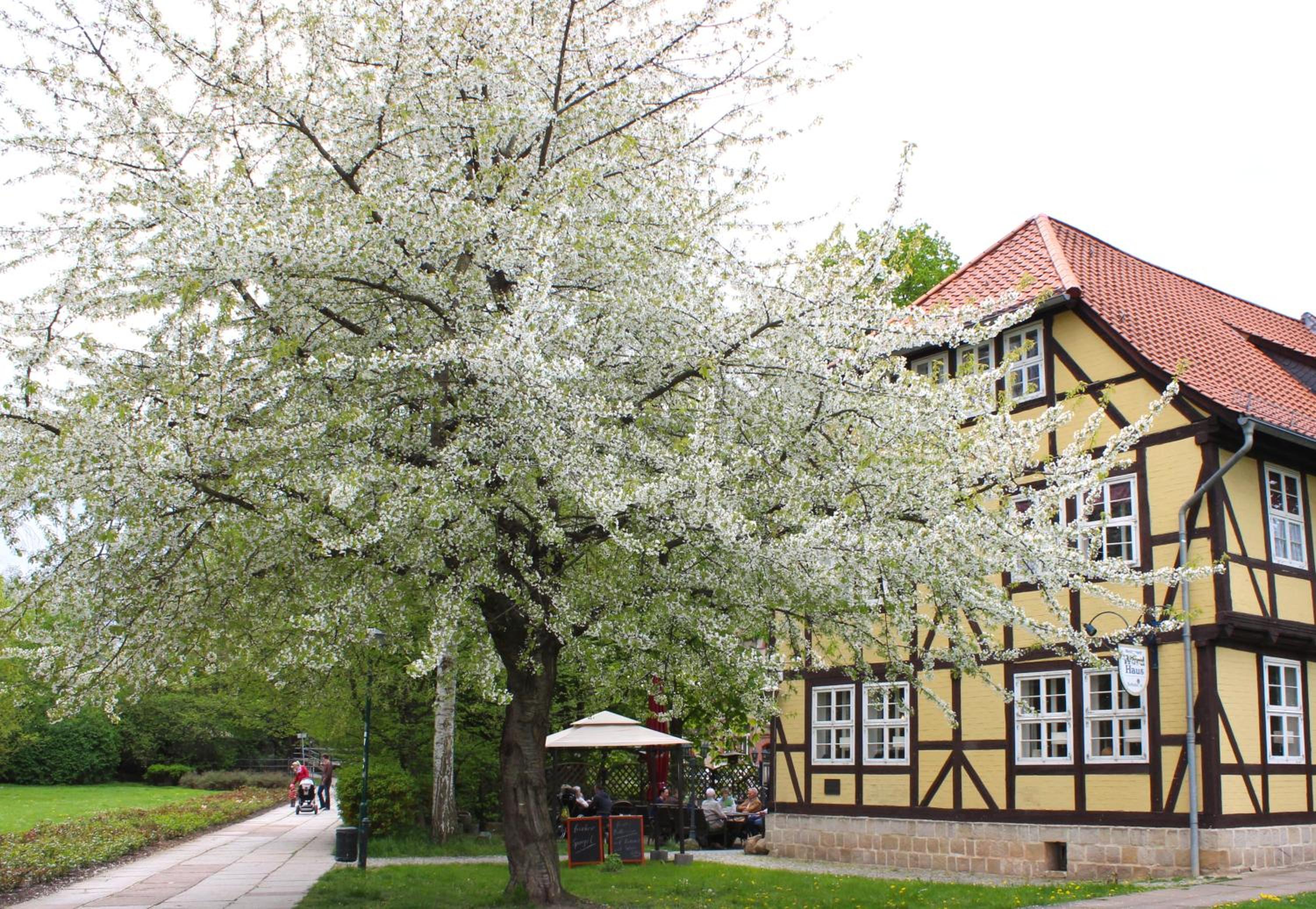 Pension Kurhausblick