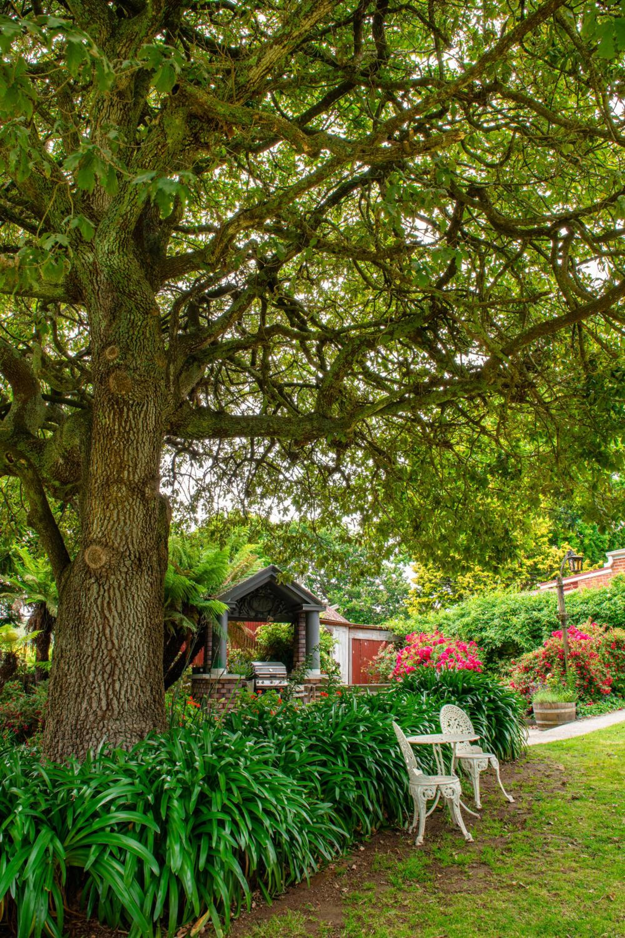 Alexandria Bed and Breakfast
