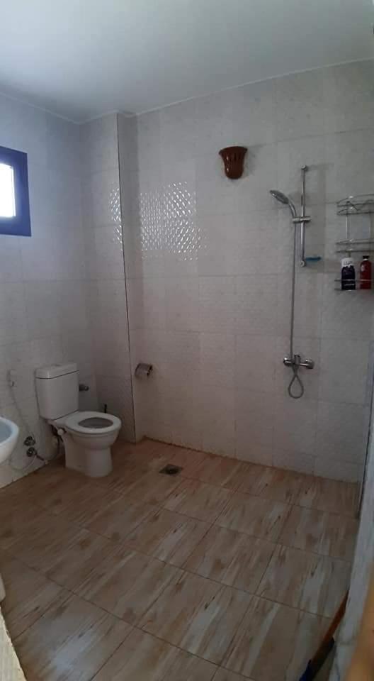 Habibi Nubian Guest House-Nubian Hospitality