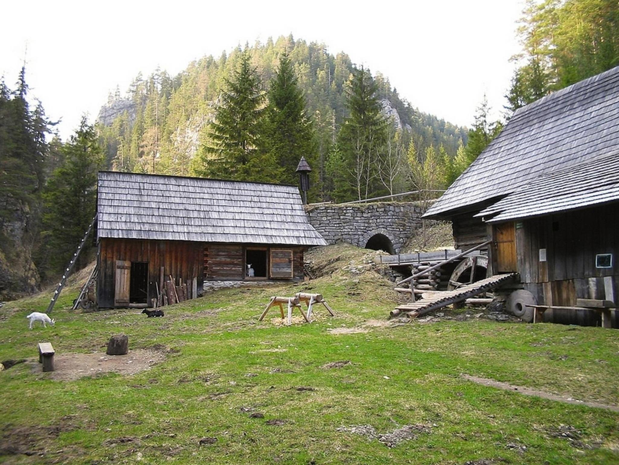 Photo 22