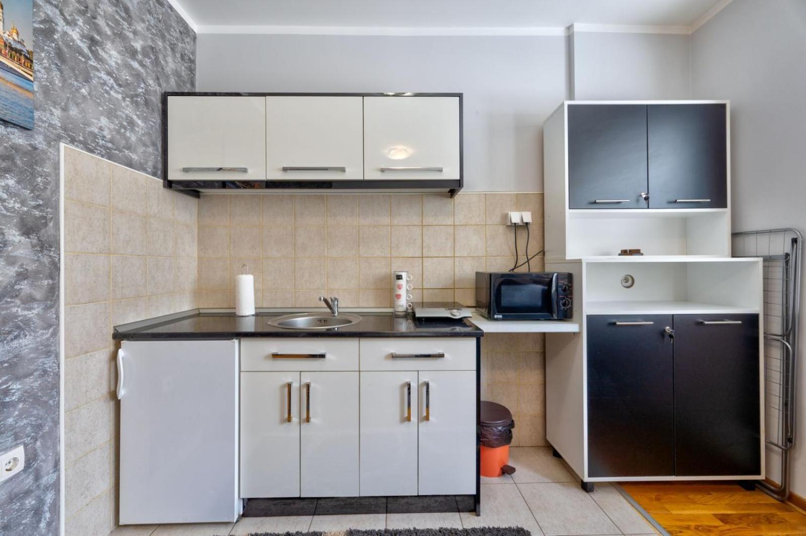 Maxi apartman Stanojević view 4