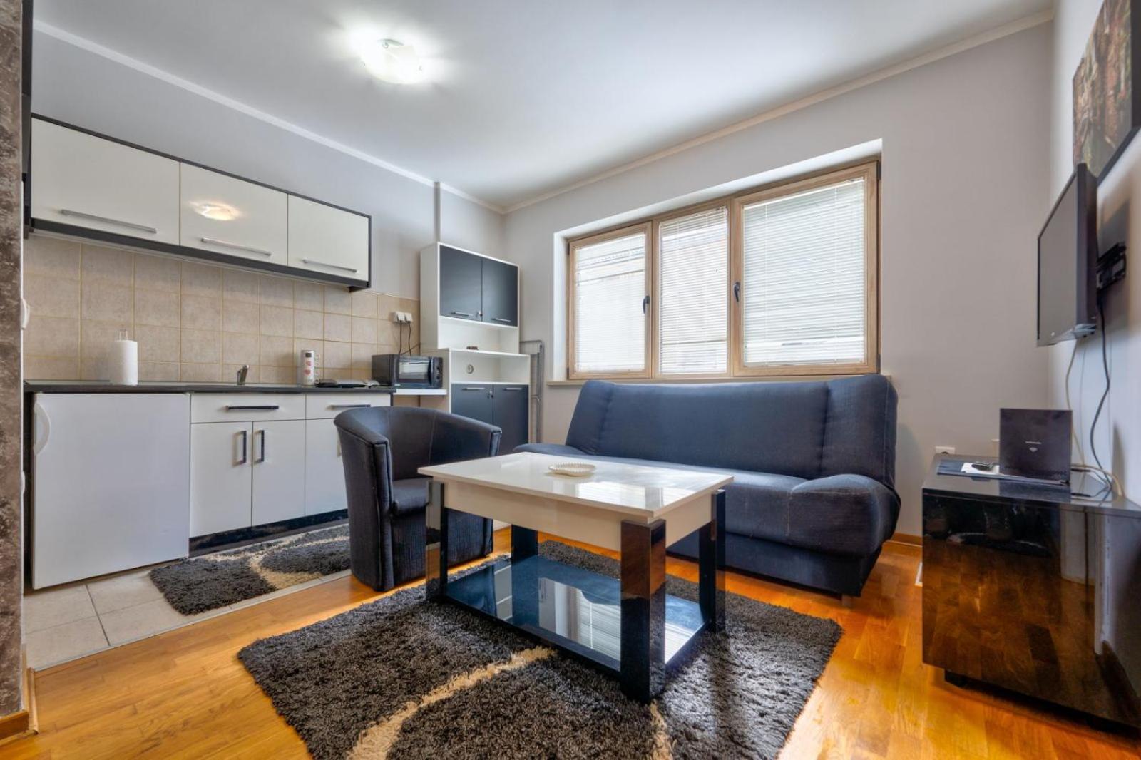 Maxi apartman Stanojević view 5