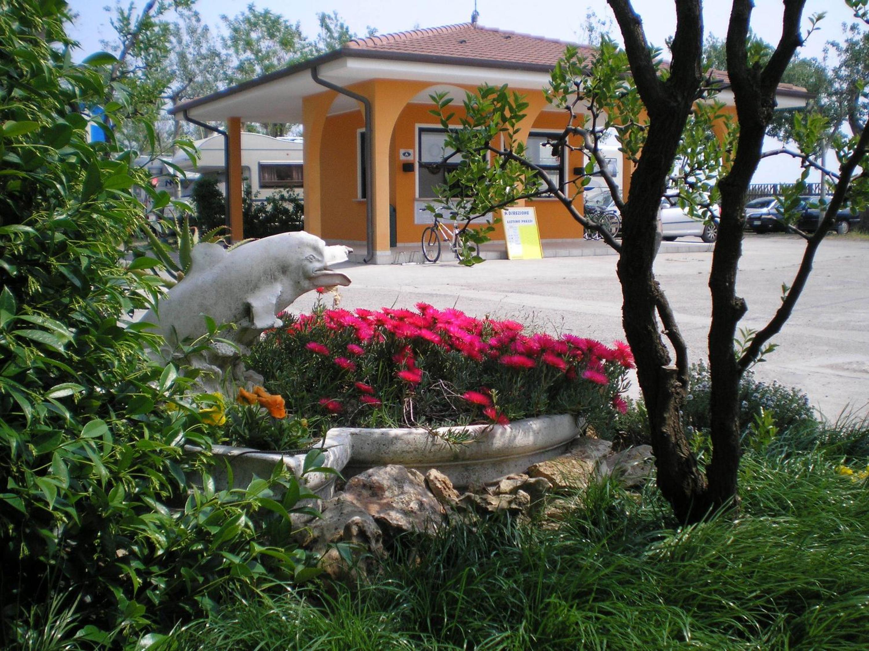 Photo 33