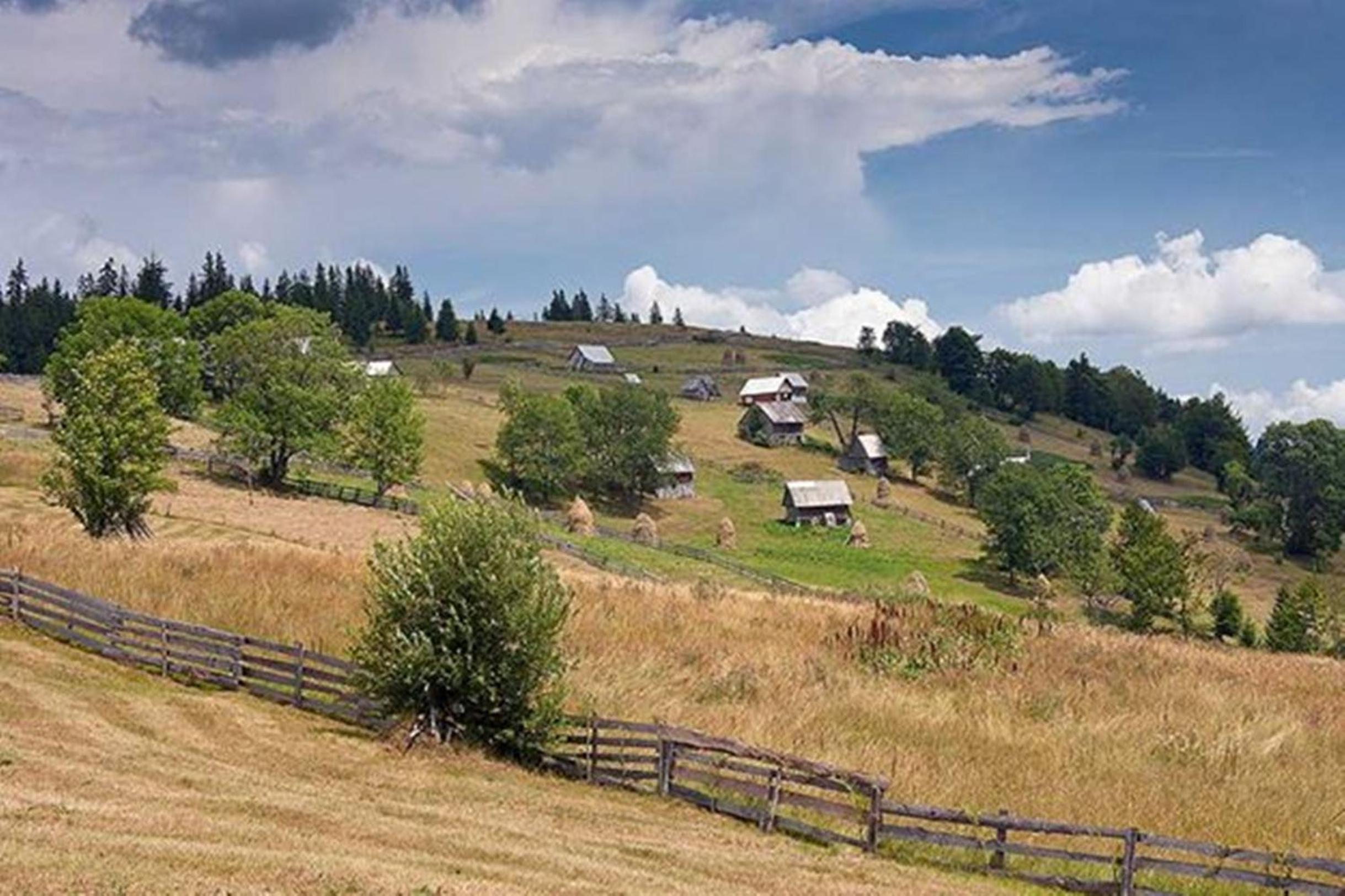 Pensiunea Scarisoara view 2