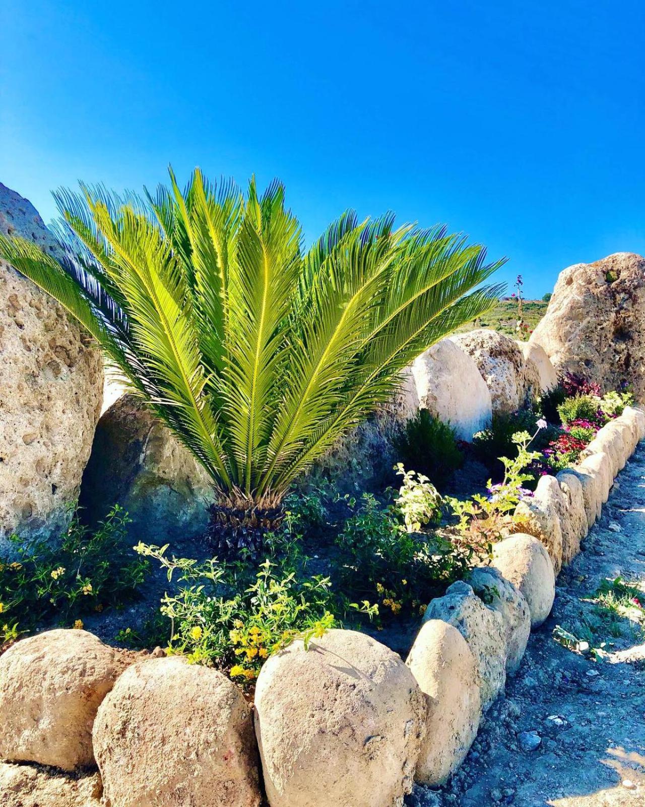 L'incanto di Nausicaa photo 3