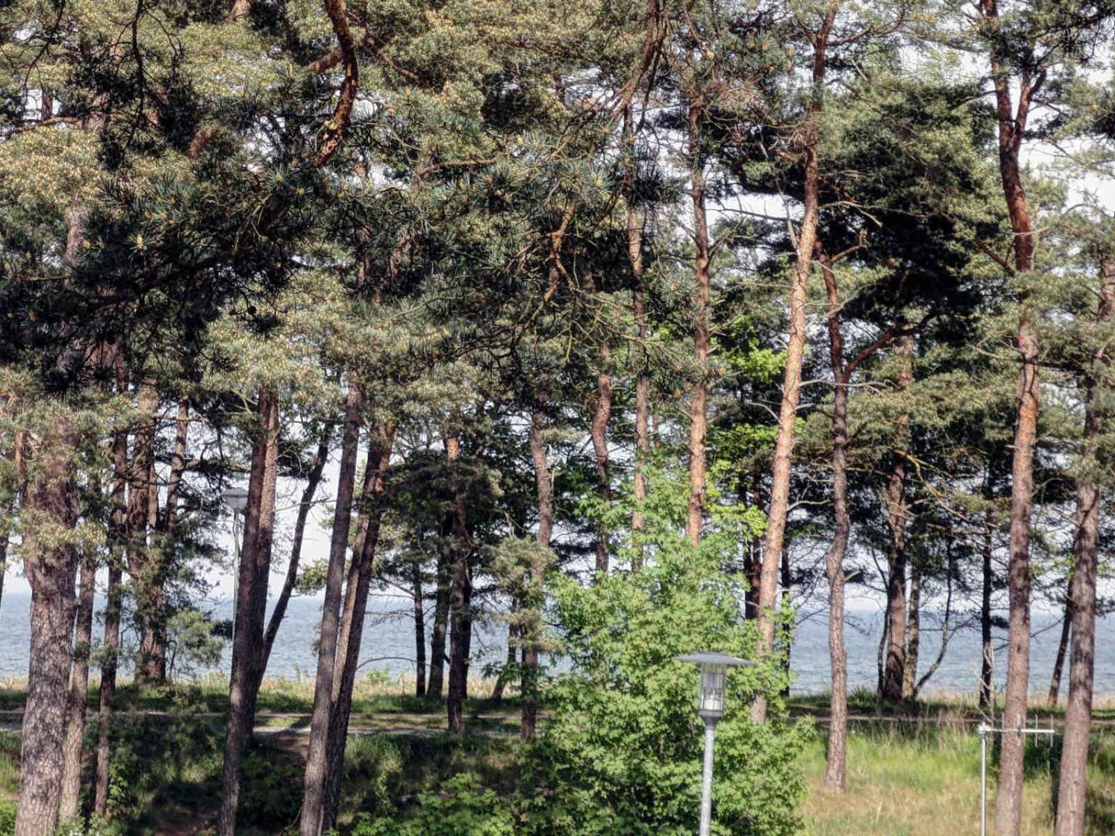 Strand und Waldhaus Ostseeperle