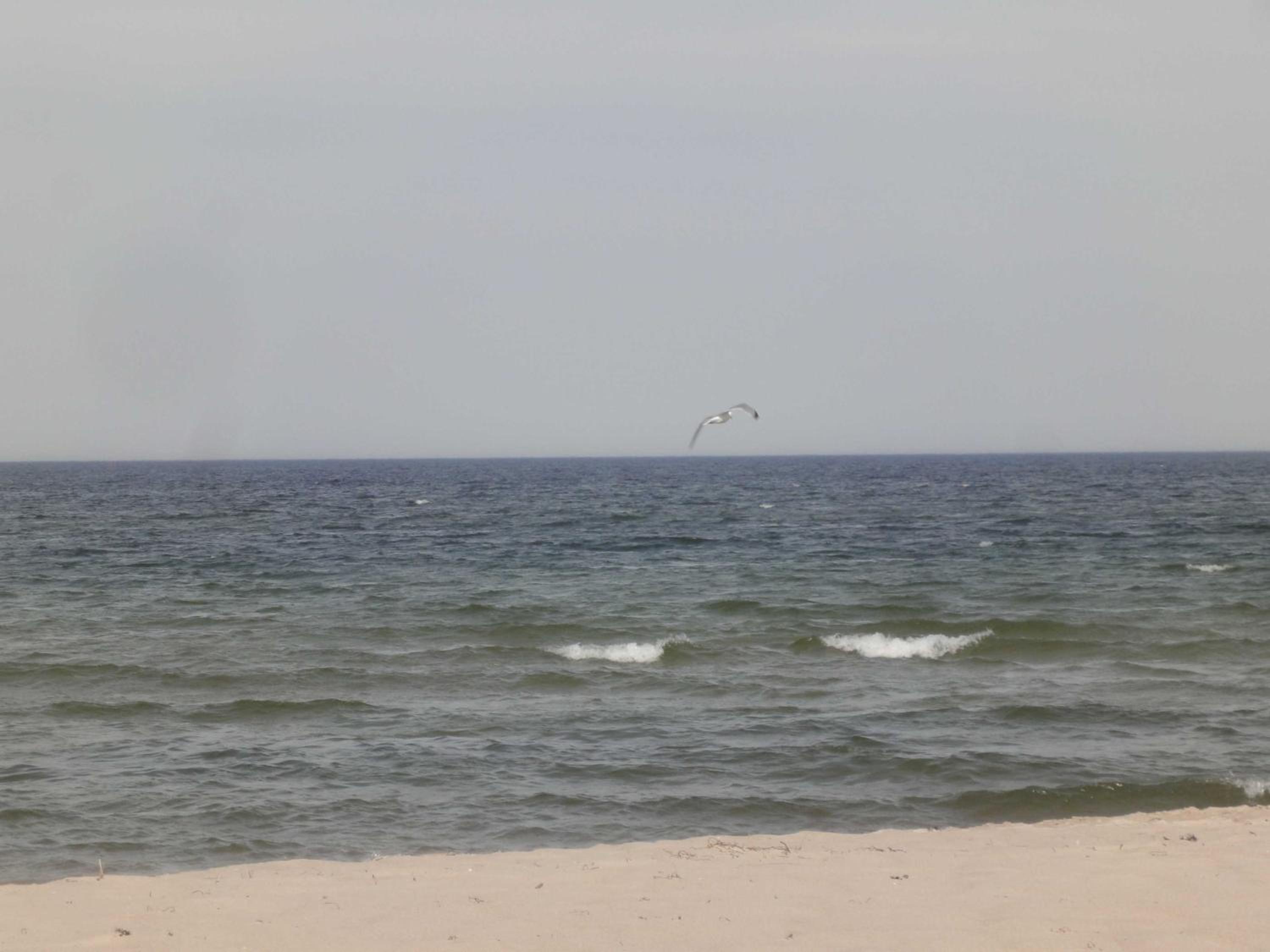 Strand und Waldhaus Ostseeperle