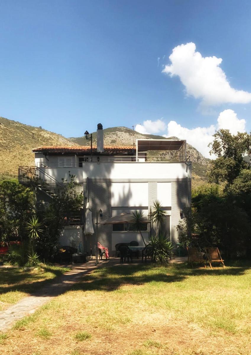 PINETA BLU, Villa sul mare con due appartamenti indipendenti tra Terracina e Sperlonga view 2