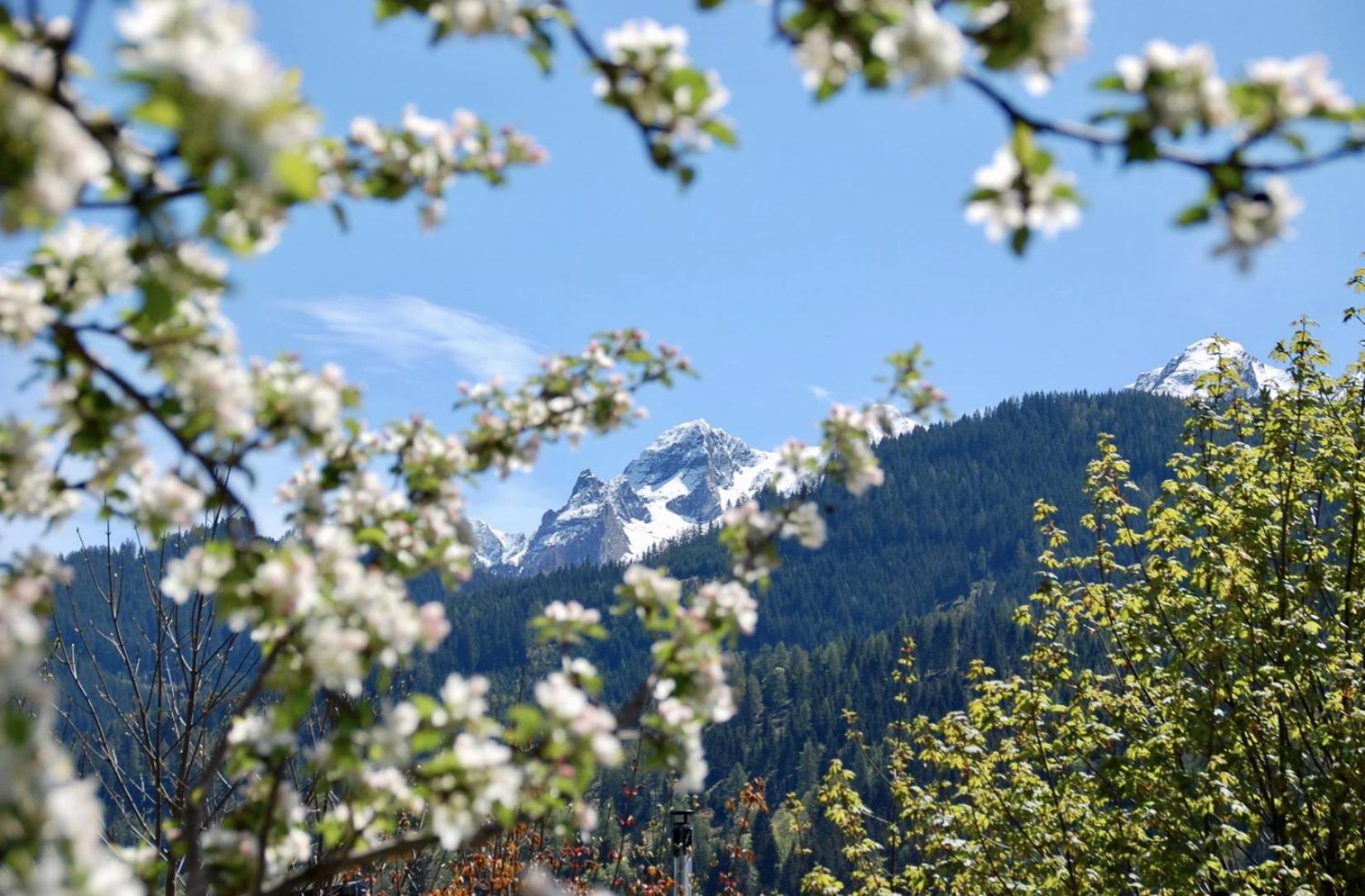 Landhaus Bergner Alm
