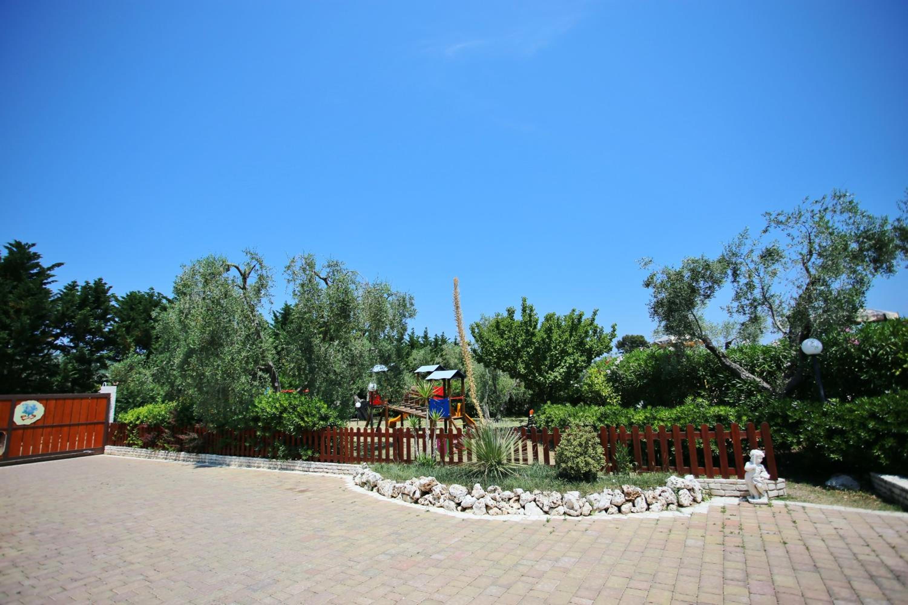 Photo 6