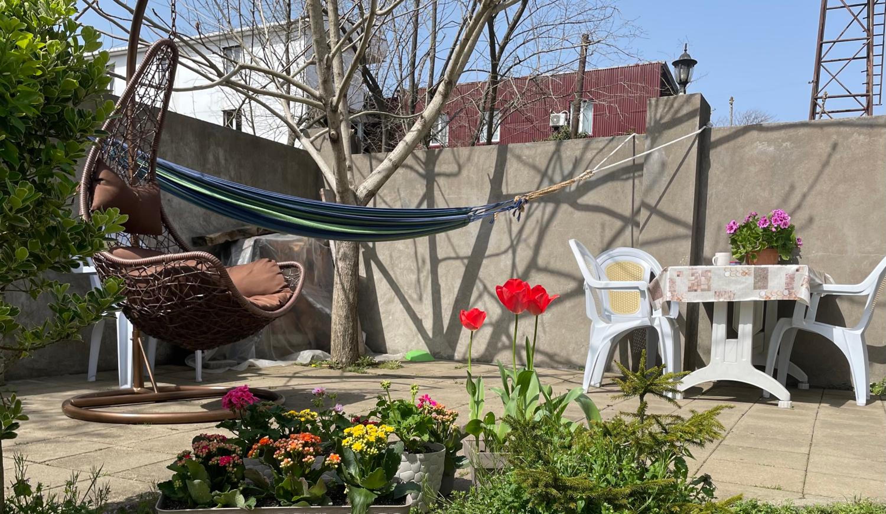 Guest House Kobuleti