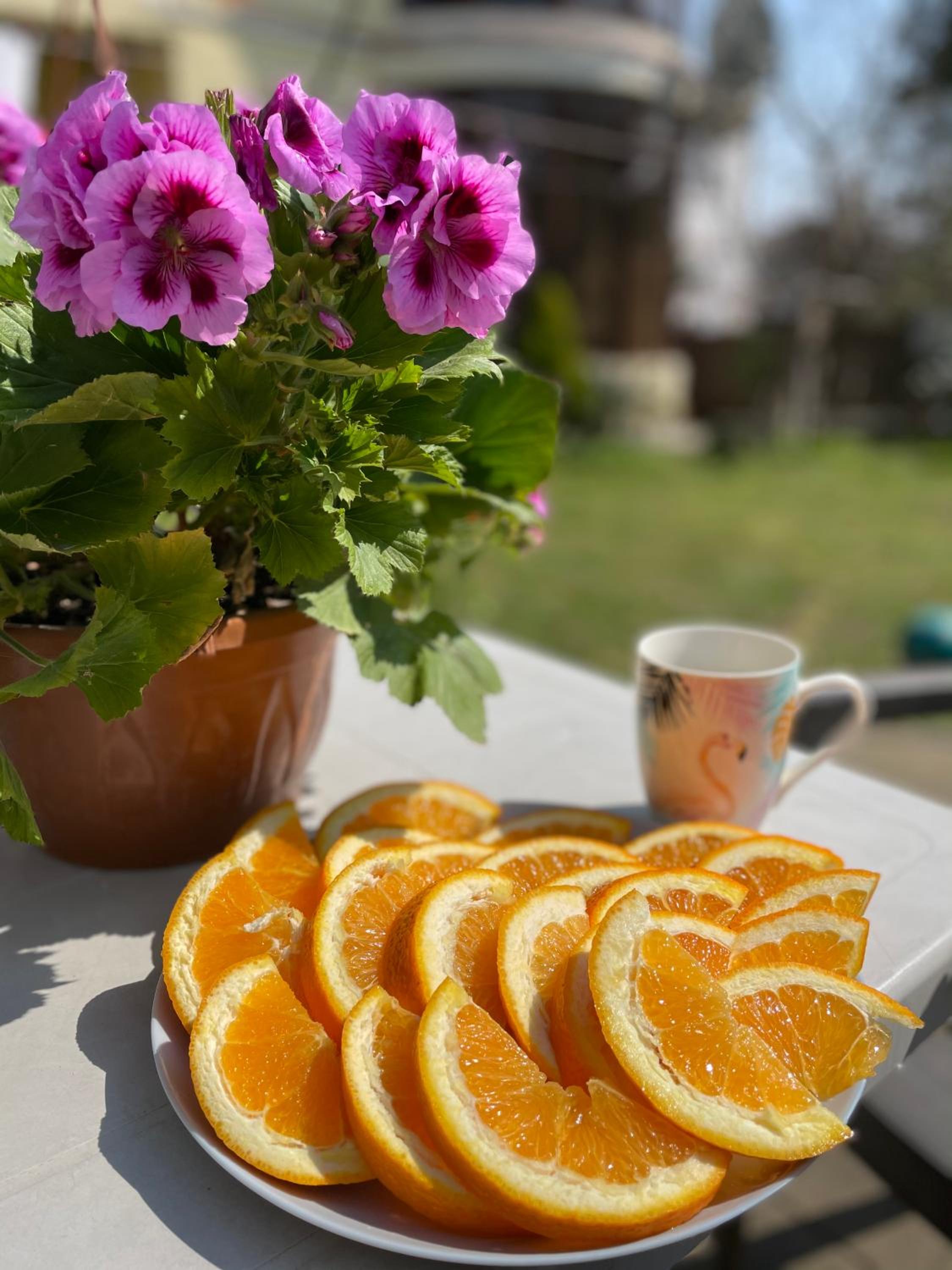 Guest House Kobuleti