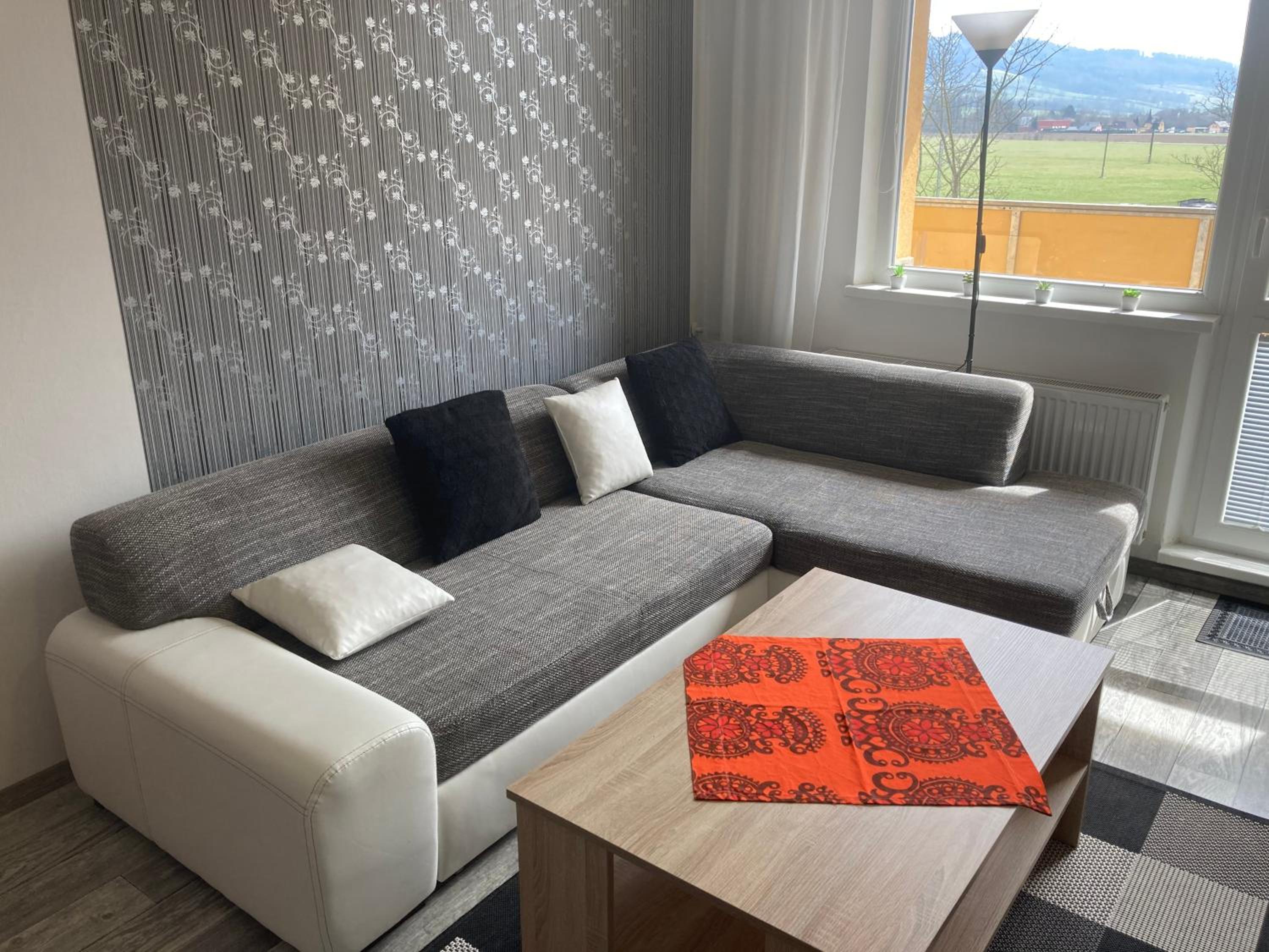Apartmán ve Velkých Losinách view 4
