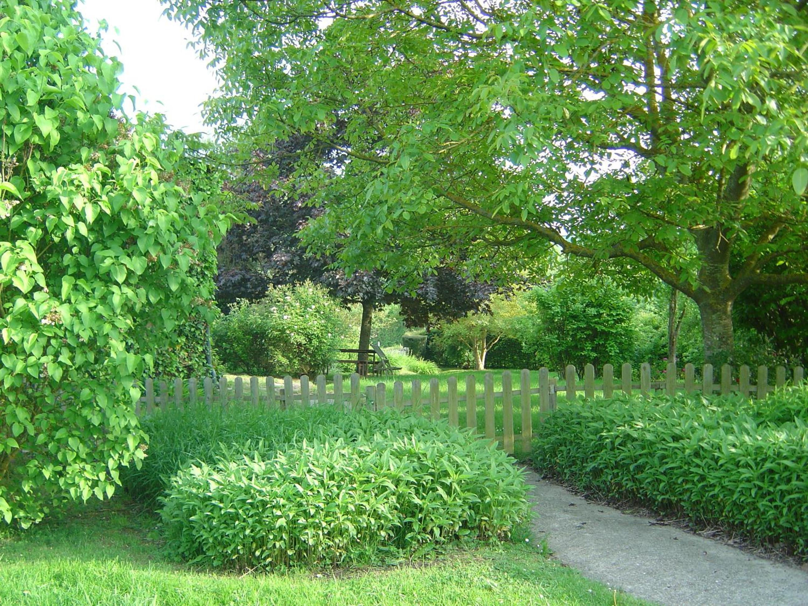 Photo 27