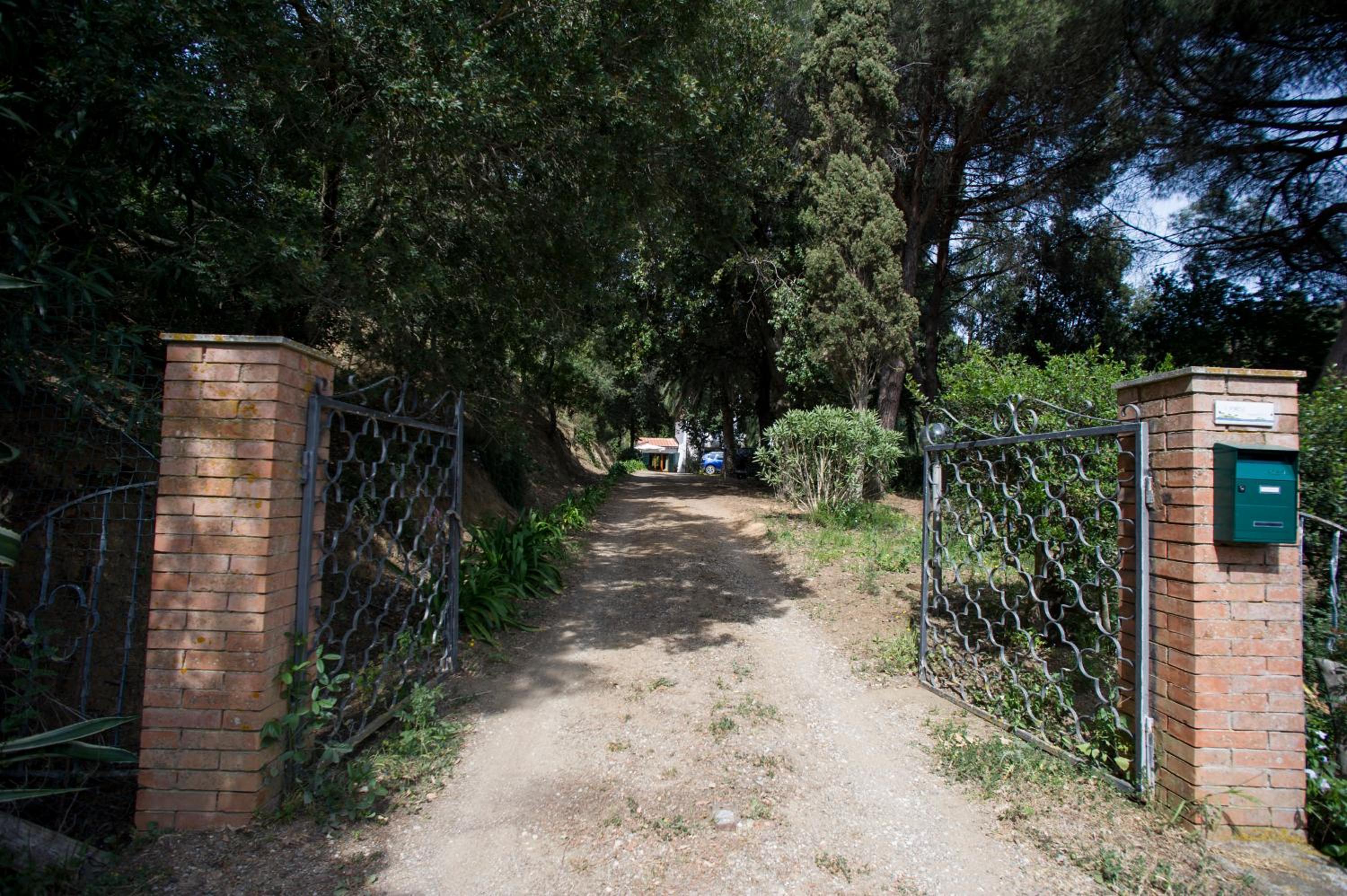 Photo 13