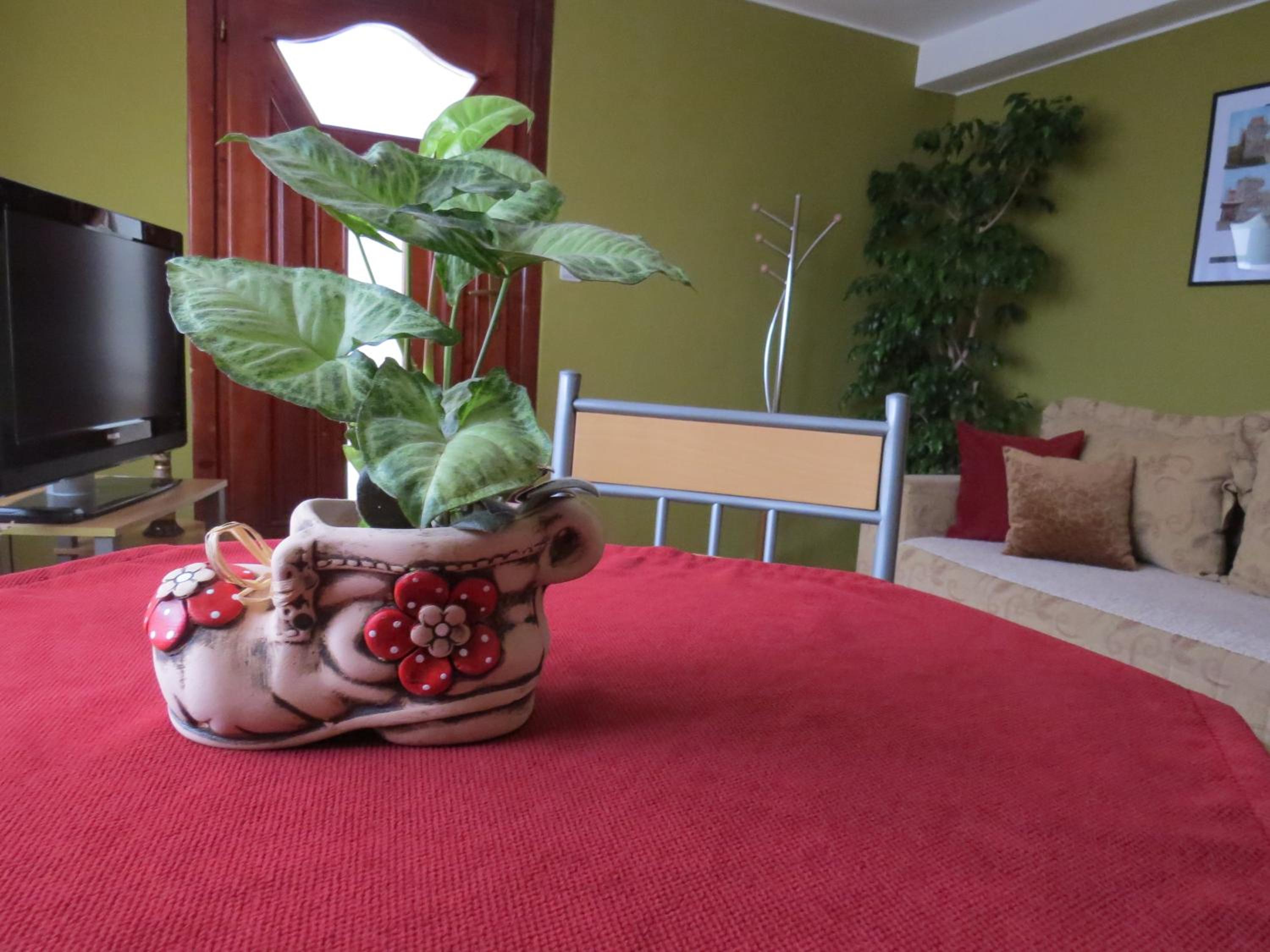 Apartman Bilja view 3